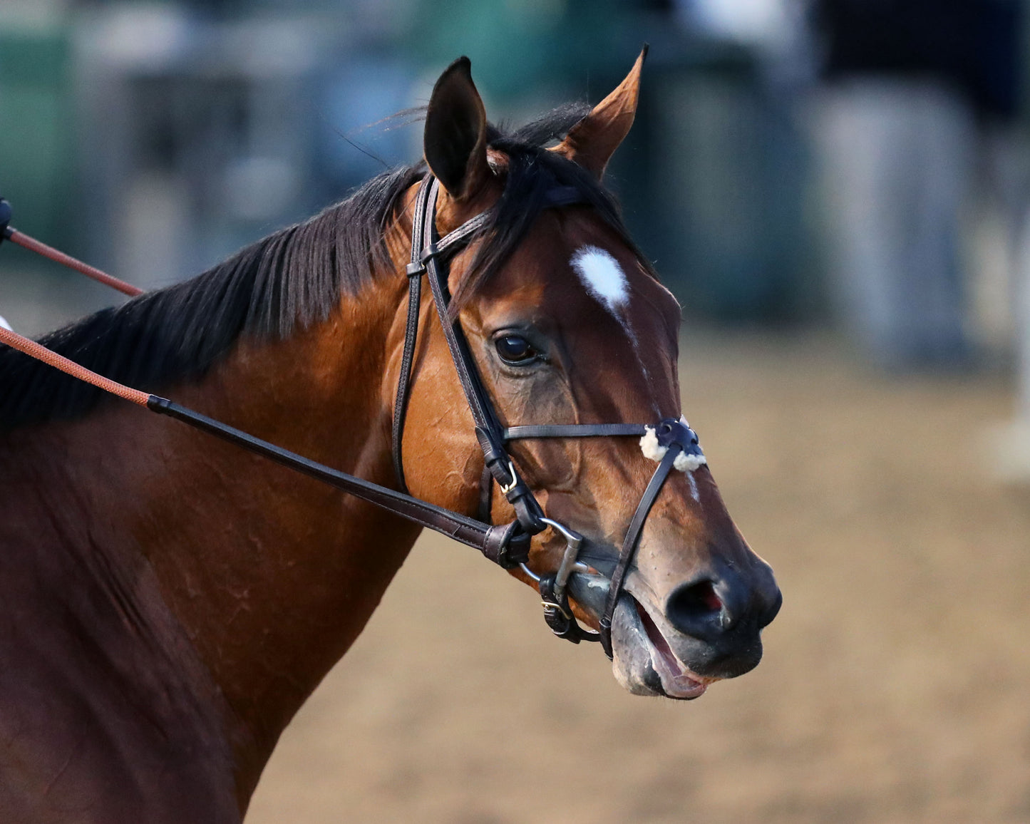 LUSH LIPS - 11-28-25 - R10 - CD - Come Back 04