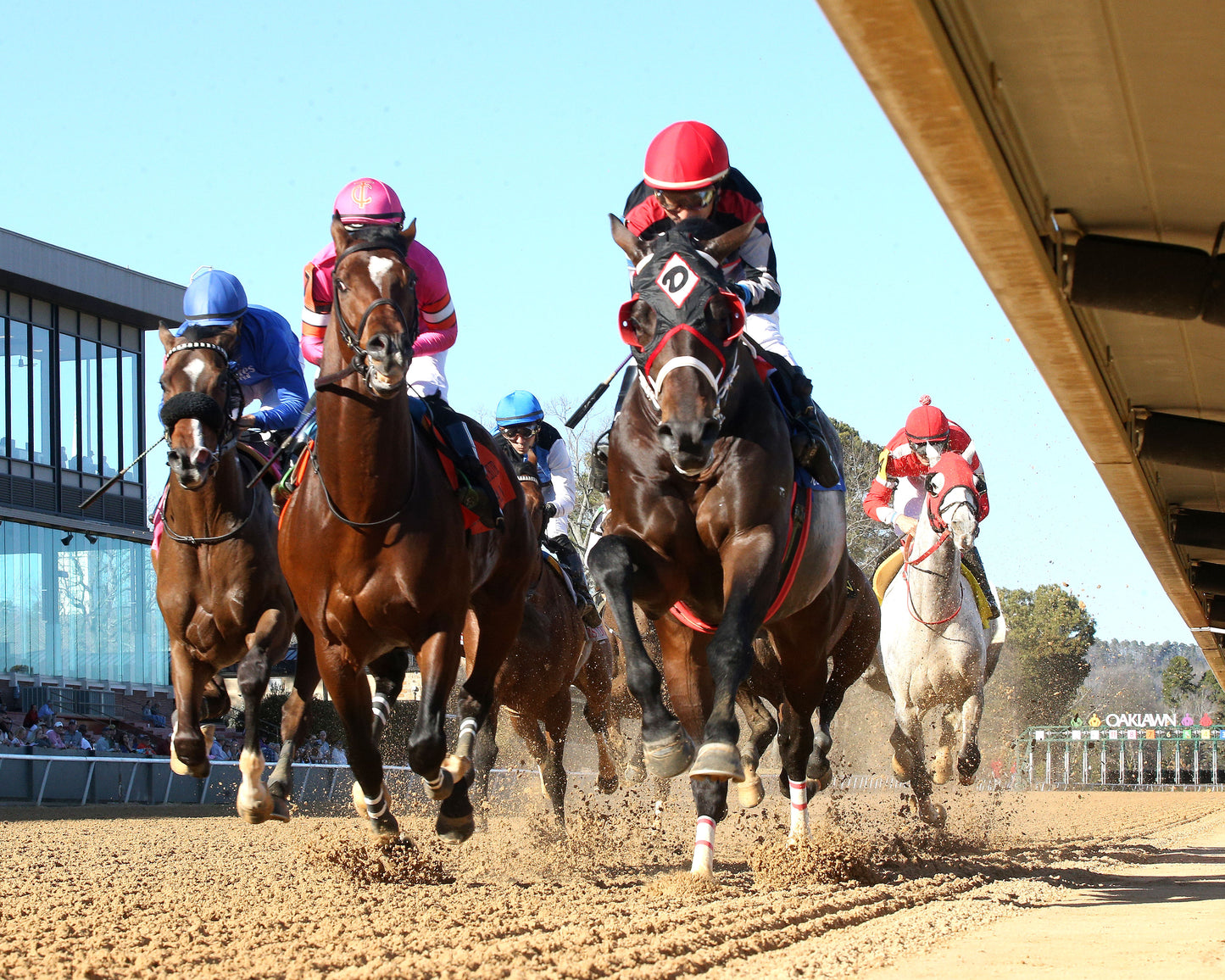 MACKMAN - The General MacArthur Overnight Stakes - 02-06-26 - R08 - Oaklawn Park - Under Rail - First Pass 01 - Coady Media - Kurtis Coady Photography