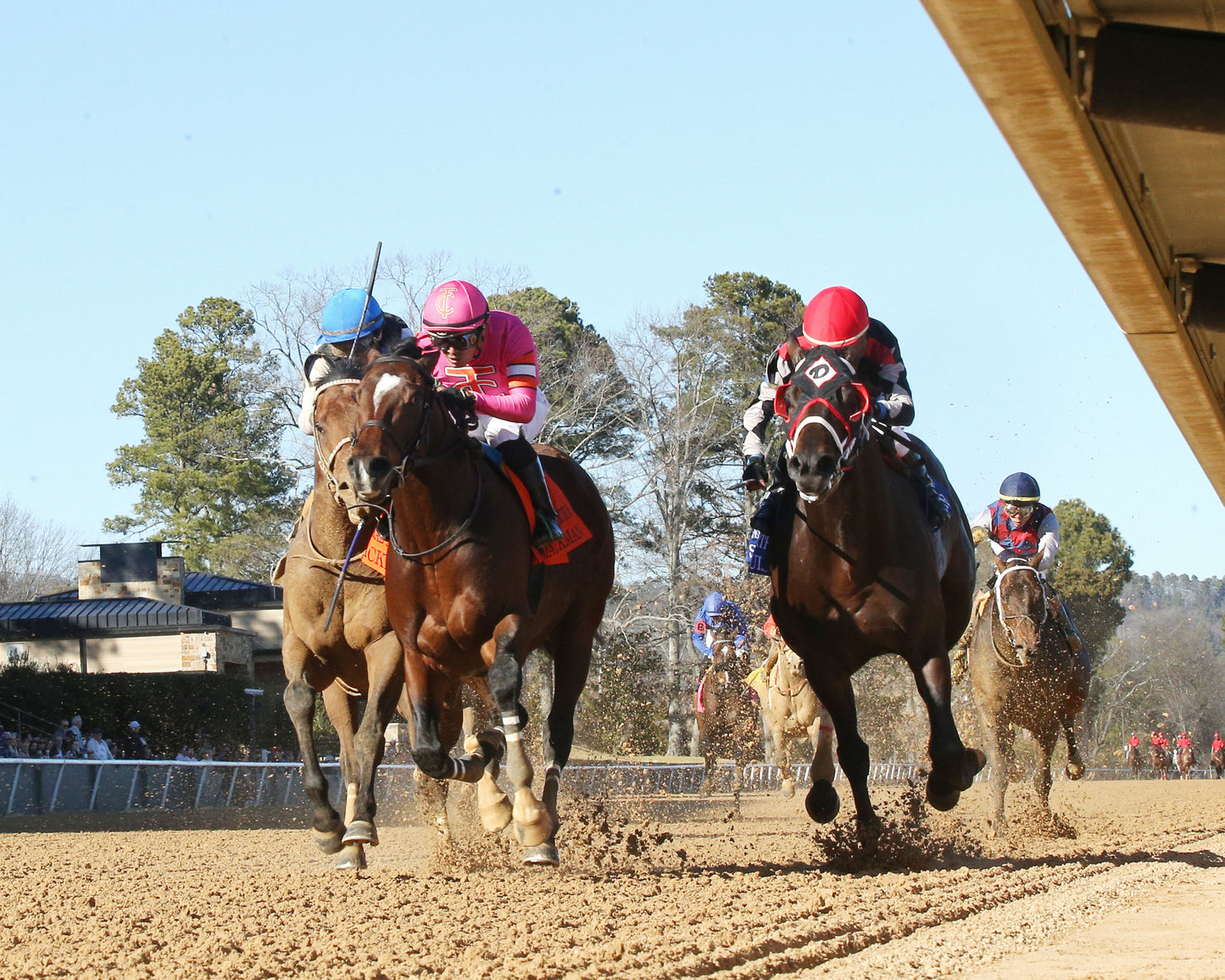 MACKMAN - The General MacArthur Overnight Stakes - 02-06-26 - R08 - Oaklawn Park - Under Rail 01 - Coady Media - Kurtis Coady Photography