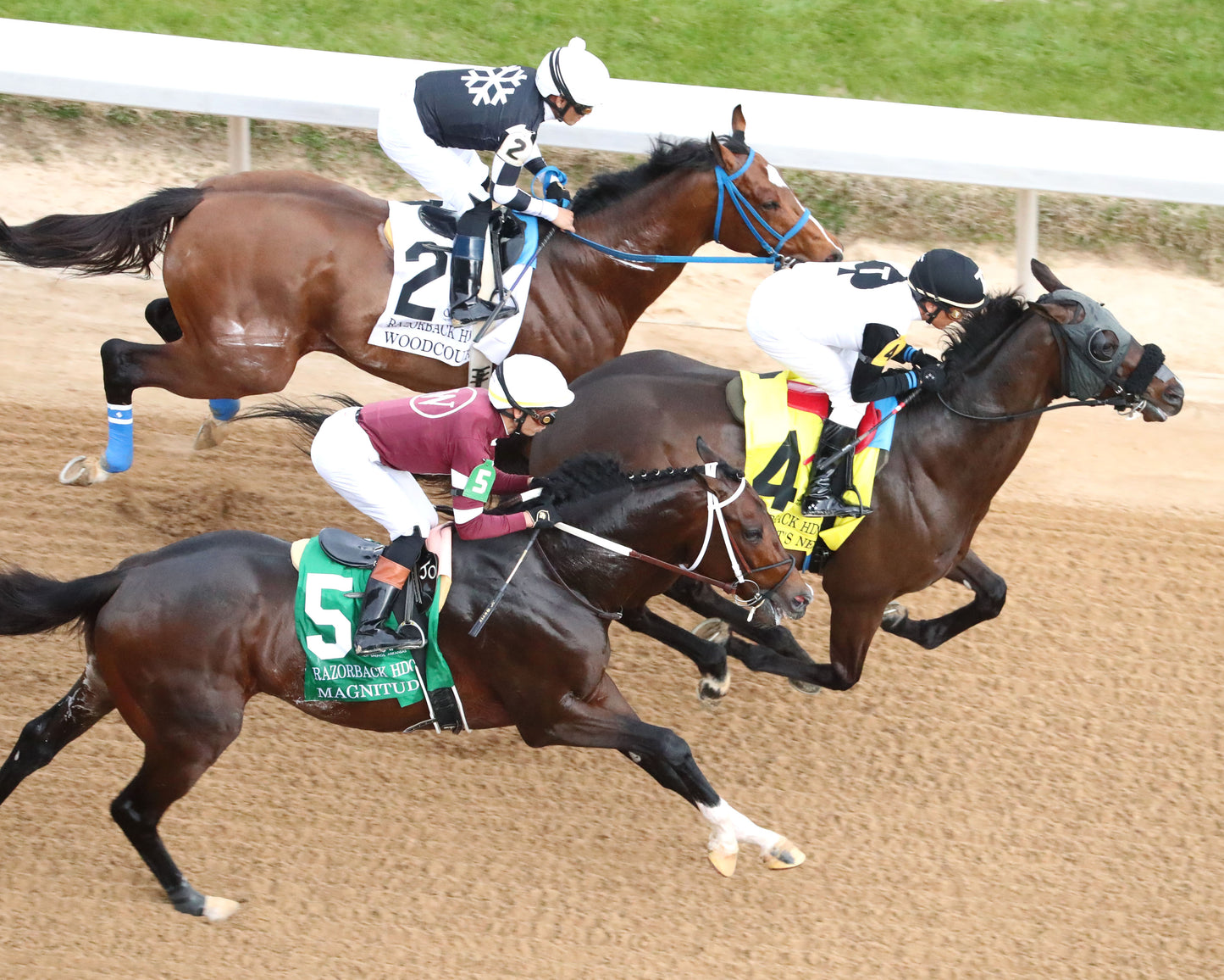 MAGNITUDE - The Razorback Handicap G3 - 02-28-26 - R10 - OP - First Pass 01 - Coady Media - Kurtis Coady Photography