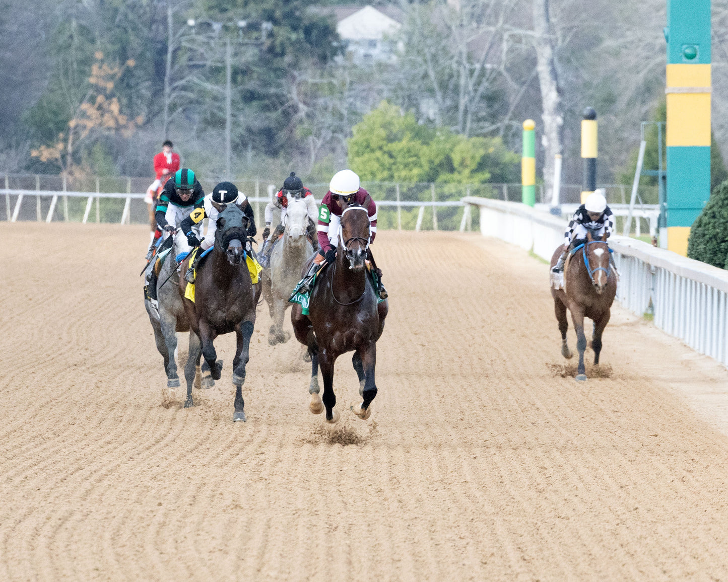 MAGNITUDE - The Razorback Handicap G3 - 02-28-26 - R10 - OP - Head On 02 - Coady Media - Kurtis Coady Photography