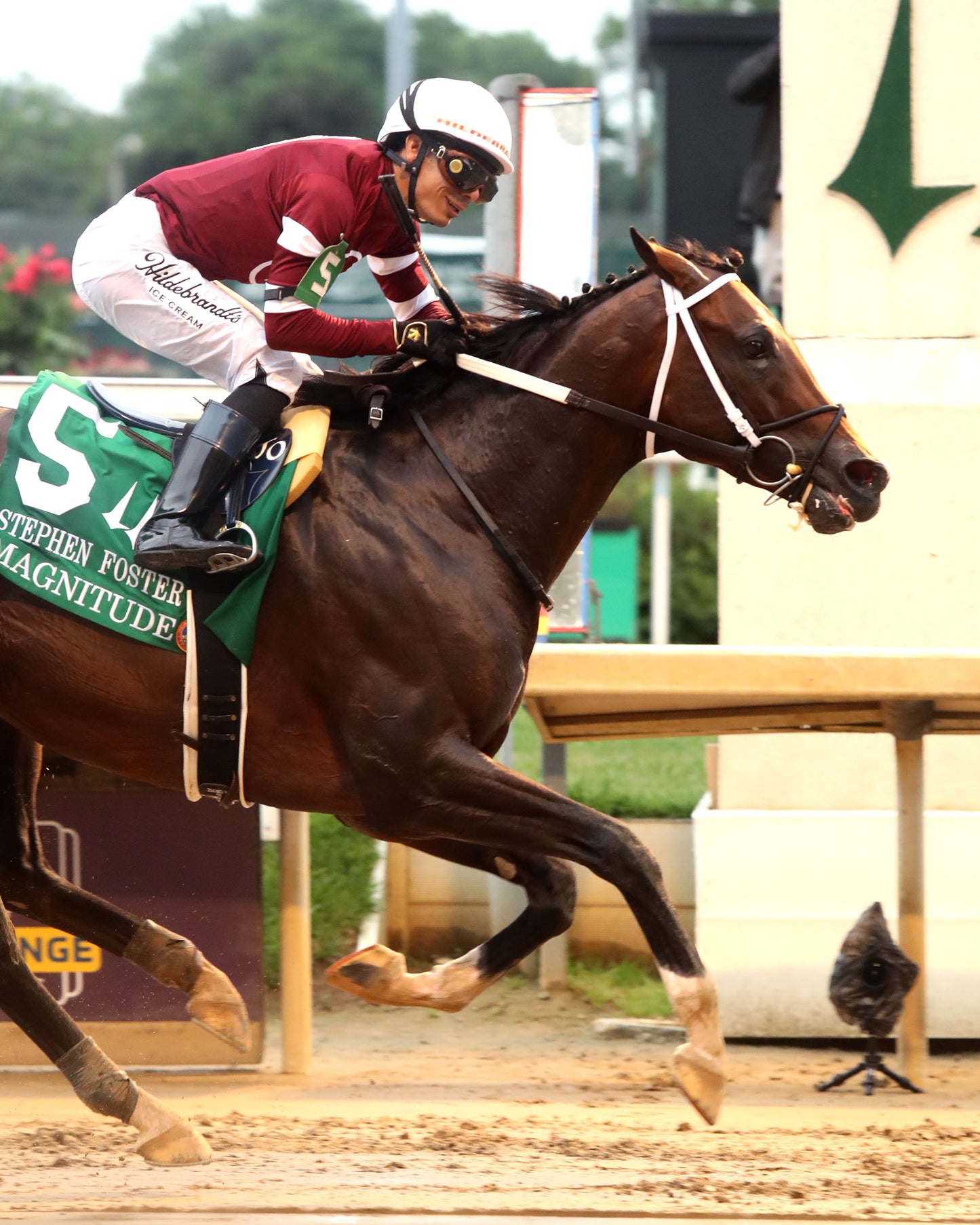 MAGNITUDE - The Stephen Foster - 062726 - Race 11 - CD - Finish 06
