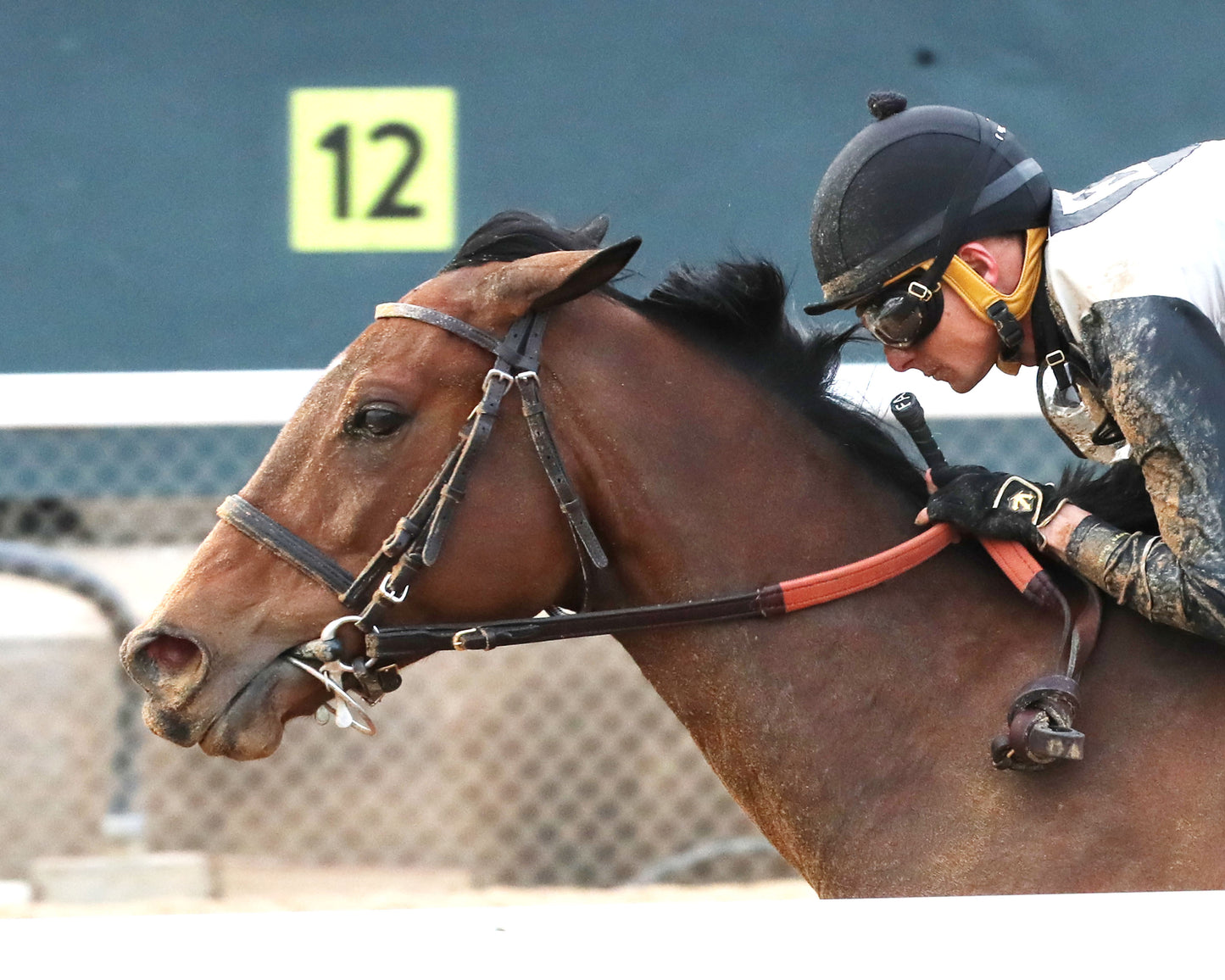 MAJESTIC OOPS - The American Beauty Stakes - 02-13-26 - R08 - OP - Inside Finish 03 - Coady Media - Kurtis Coady Photography