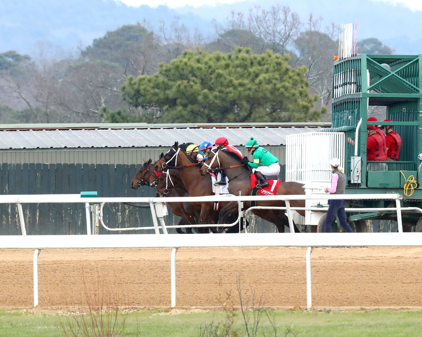 MAJESTIC OOPS - The American Beauty Stakes - 02-13-26 - R08 - OP - Start 01 - Coady Media - Kurtis Coady Photography