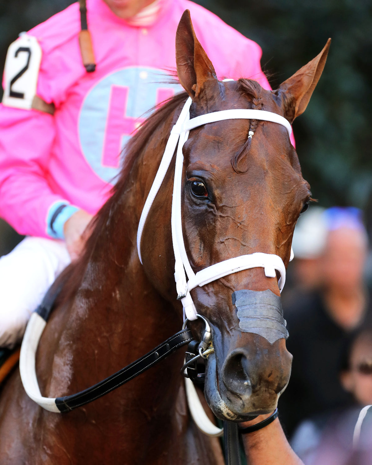 MALIBU SMART - The Rood & Riddle Dowager G3 - 10-18-26 - R07 - KEE - Come Back 01