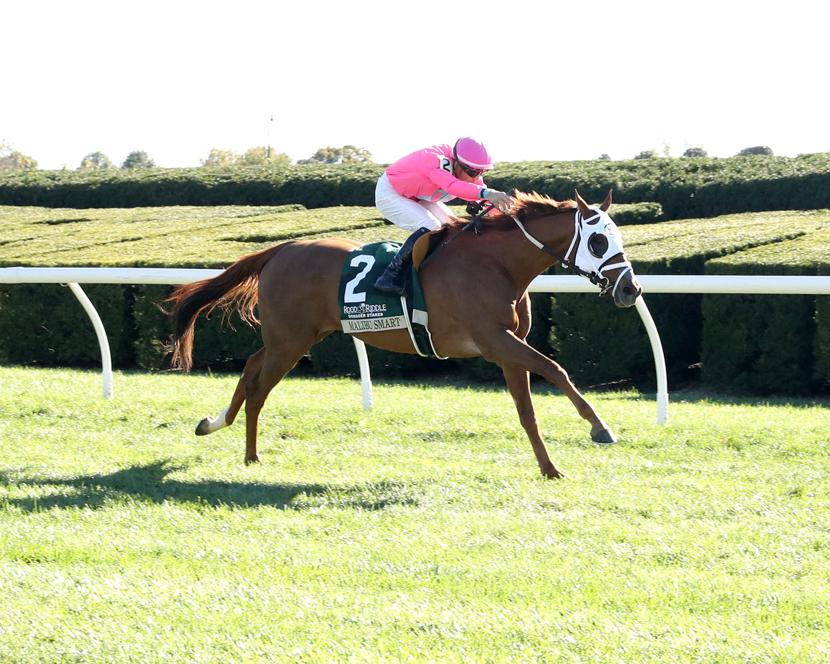 MALIBU SMART - The Rood & Riddle Dowager G3 - 10-18-26 - R07 - KEE - Finish 05