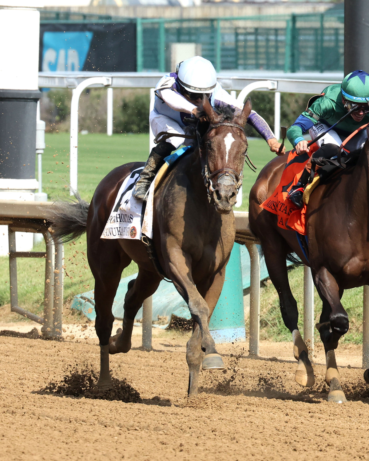 MANUKA HONEY - 091226 - Race 08 - CD - Finish 04