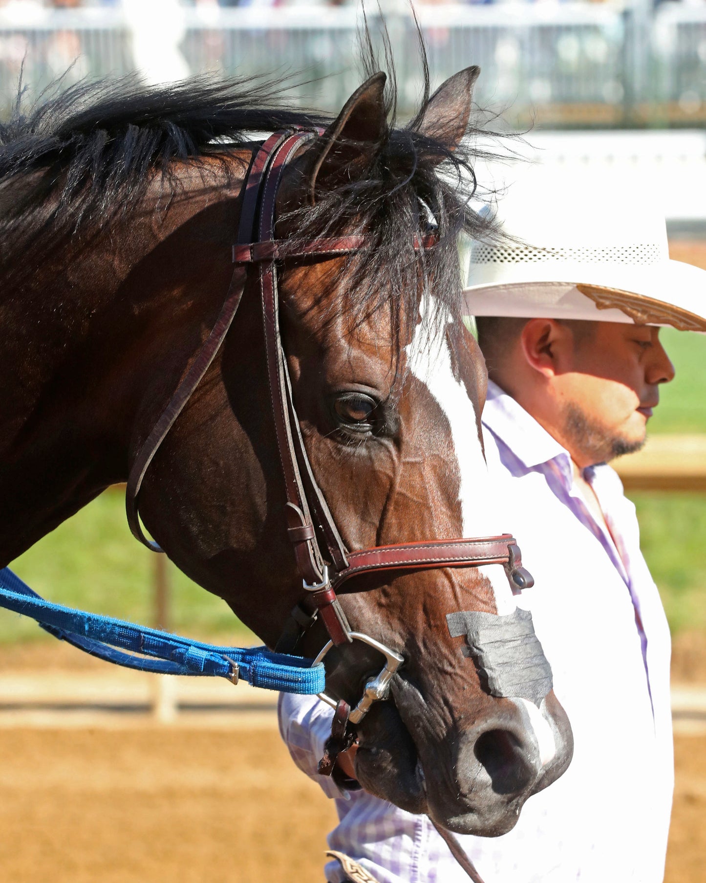 MAXIMUM BOURBON - The St. Matthews Overnight Stakes - 04-30-26 - R10 - CD - Come Back 01 - Coady Media - Kurtis Coady Photography