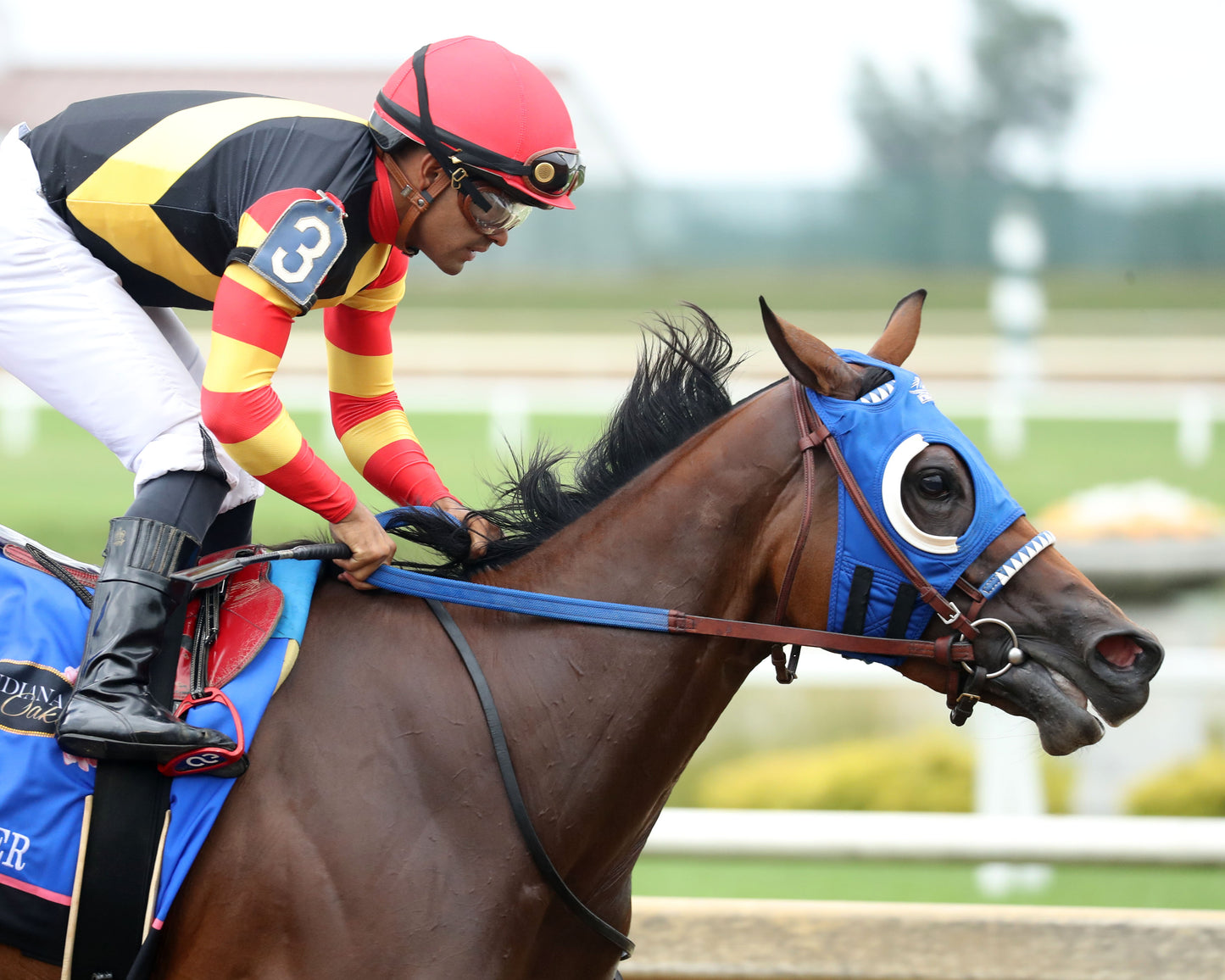 MAXIMUM OFFER - Indiana Oaks - 32nd Running - G3 - 07-11-26 - R11 - Horseshoe Indiana - Gallop Out 01 - Cady Coulardot