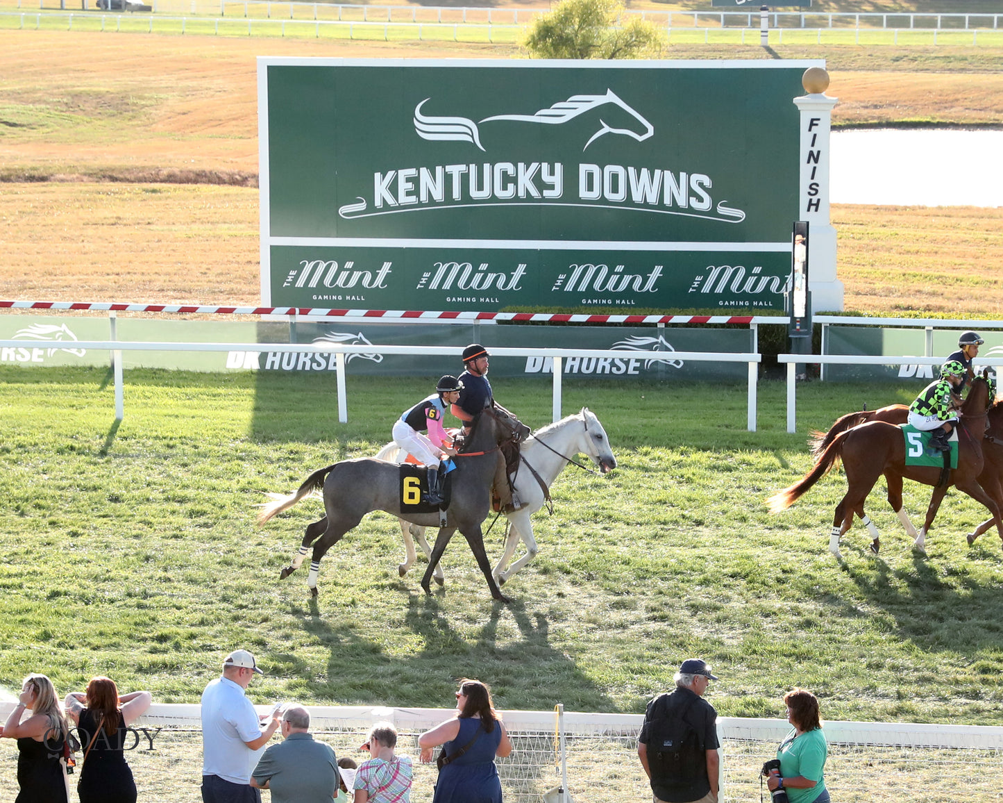 MERINGUE - The Kentucky Downs Juvenile Fillies - 08-31-25 - R11 - KD - Post Parade 02 - Coady Media - Kurtis Coady Photography