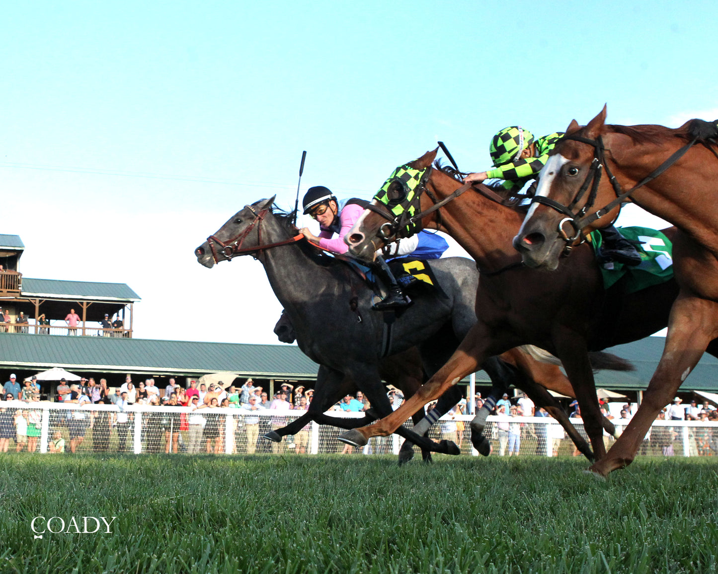 MERINGUE - The Kentucky Downs Juvenile Fillies - 08-31-25 - R11 - KD - Under Rail 03 - Coady Media - Kurtis Coady Photography