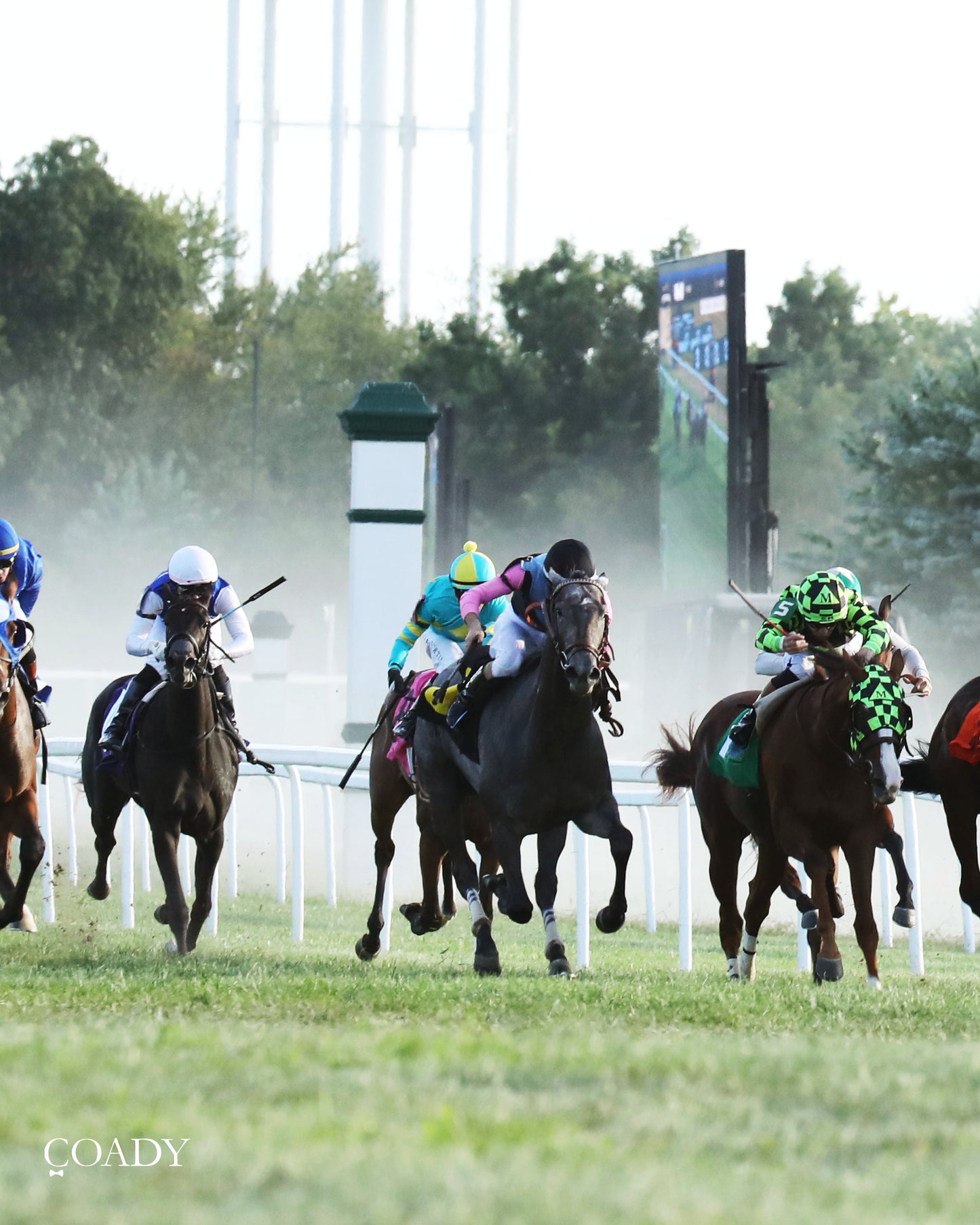 MERINGUE - The Kentucky Downs Juvenile Fillies - 08-31-25 - R11 - KD - Up the Track 01 - Coady Media - Kurtis Coady Photography
