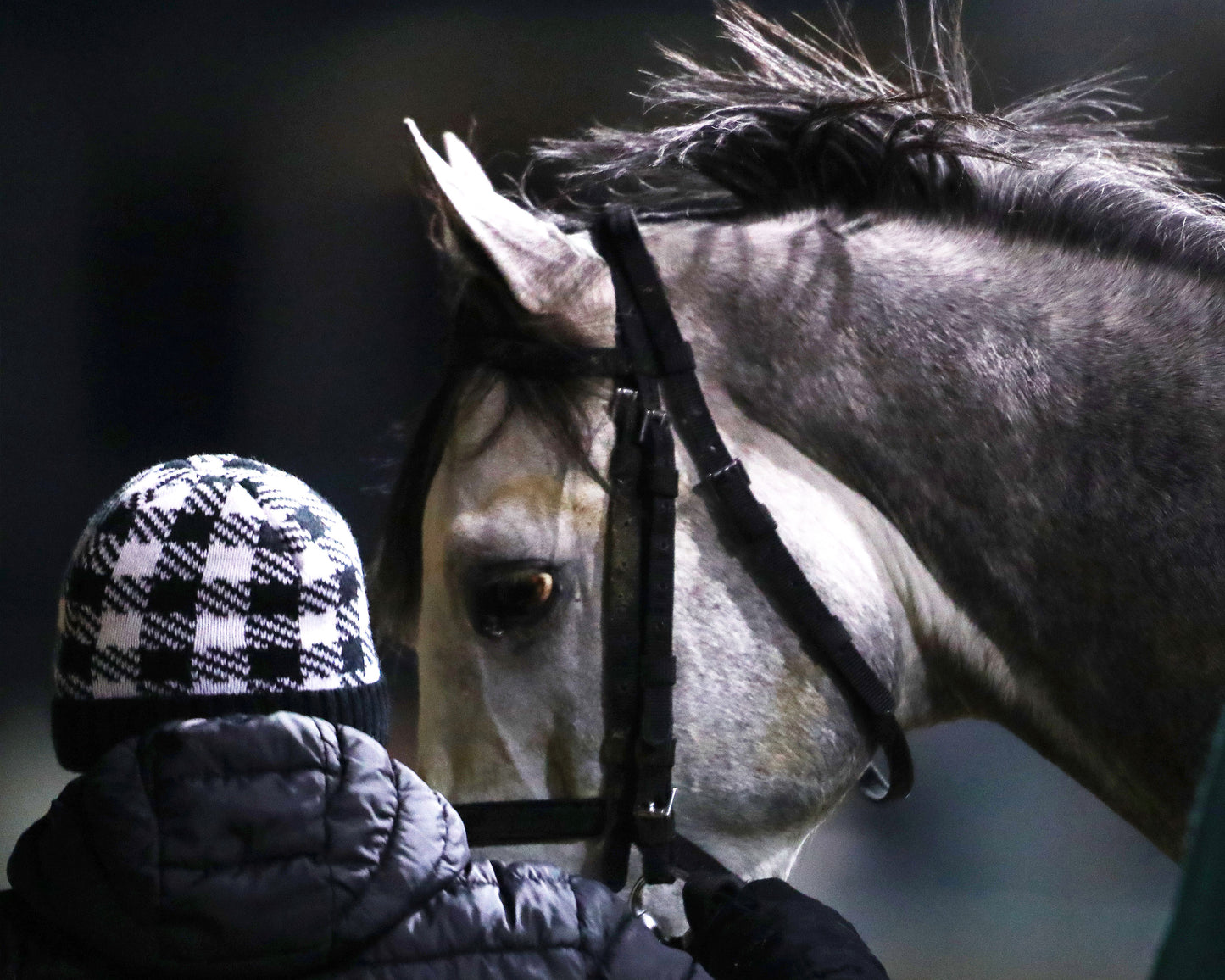 MOONLIGHT - The Cherokee Mile - 11-30-25 - R11 - CD - Come Back 01