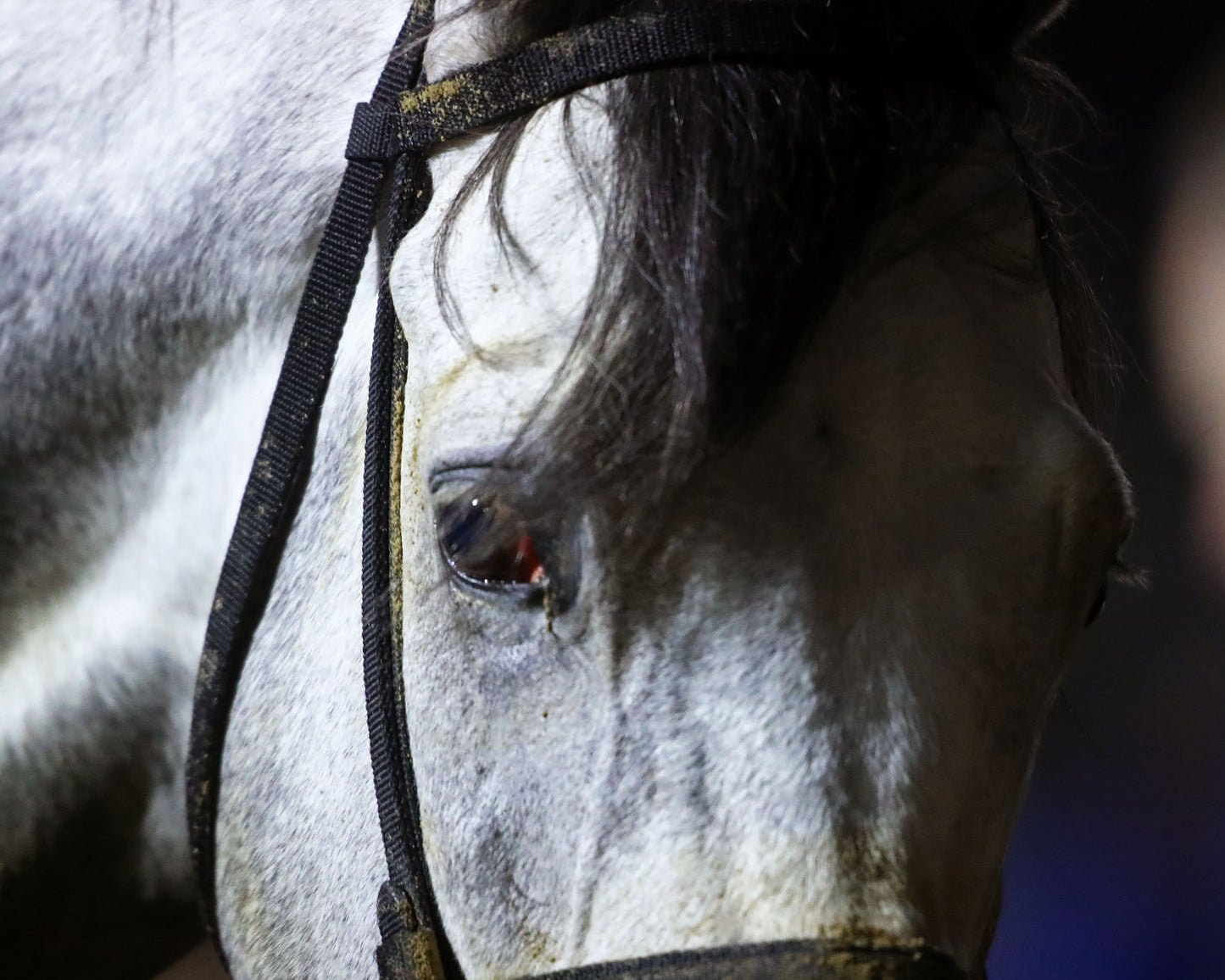 MOONLIGHT - The Cherokee Mile - 11-30-25 - R11 - CD - Come Back 02