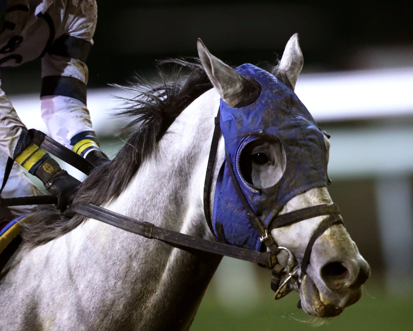 MOONLIGHT - The Cherokee Mile - 11-30-25 - R11 - CD - Gallop Out 02