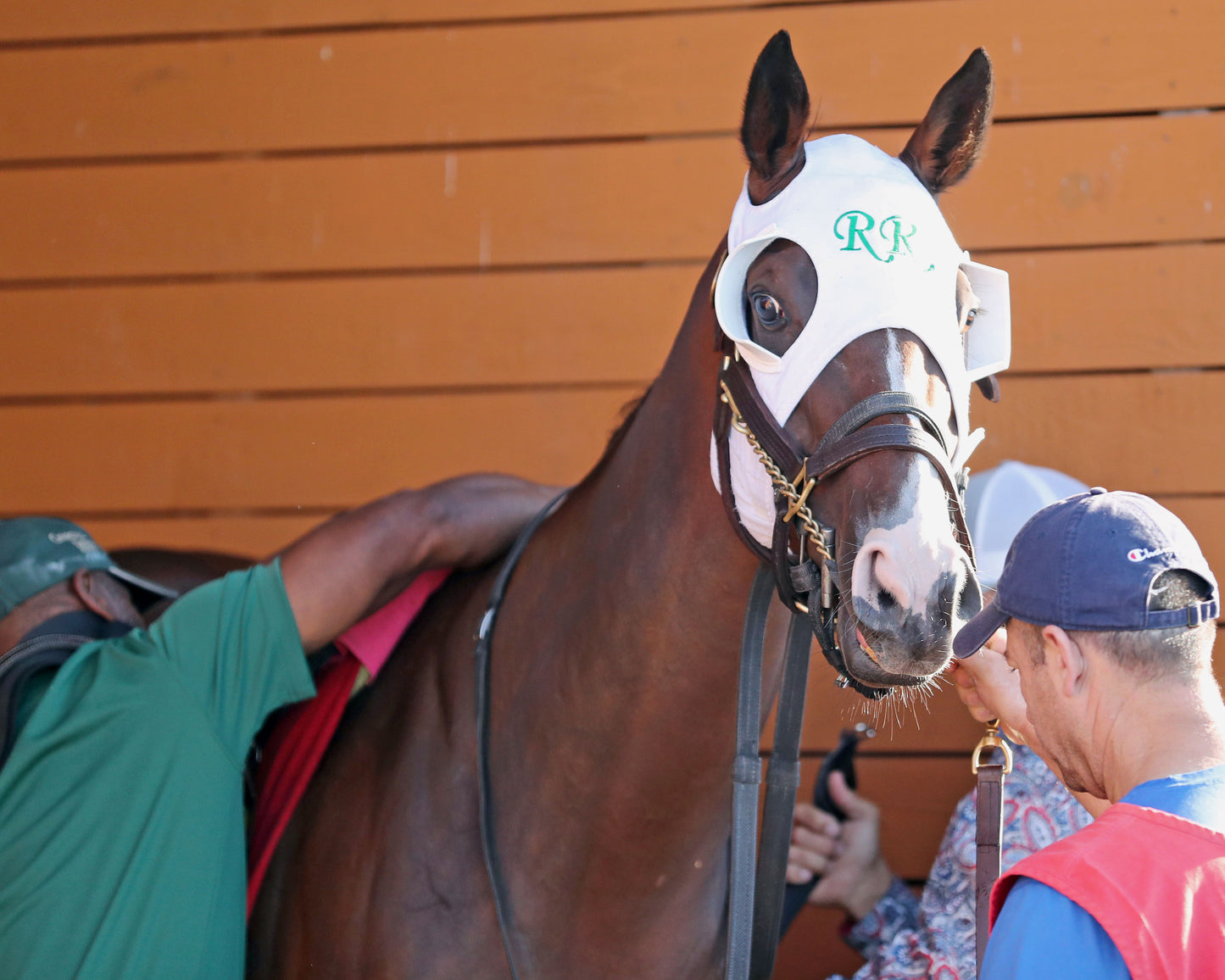 MS. TART - The Satin And Lace Stakes - 08-18-25 - R07 - Paddock 04 - Coady Media - Kurtis Coady Photography