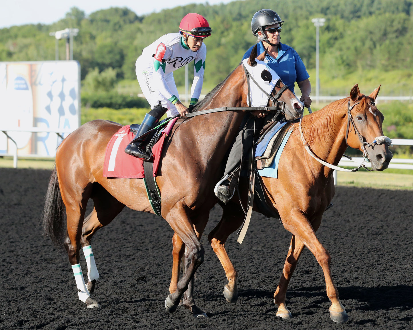 MS. TART - The Satin And Lace Stakes - 08-18-25 - R07 - Post Parade - Coady Media - Kurtis Coady Photography