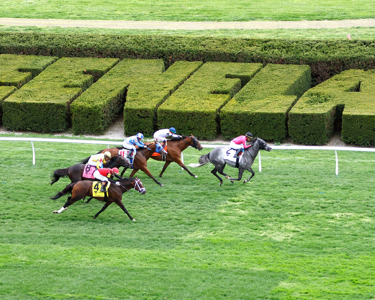 MY BOY PRINCE - 040426 - Race 10 - KEE - Finish 02 - Coady Media - Kurtis Coady Photography