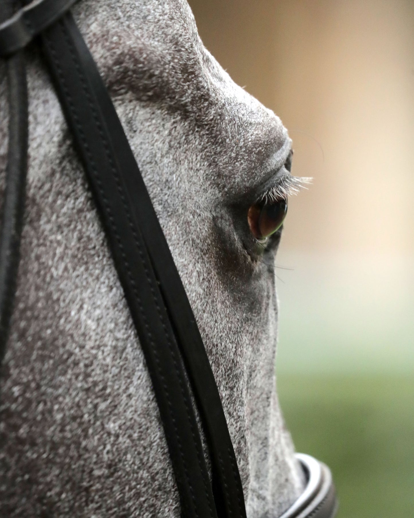 MY BOY PRINCE - The Valvoline Global Shakertown G2 - 04-04-26 - R10 - KEE - Come Back 04 - Coady Media - Kurtis Coady Photography