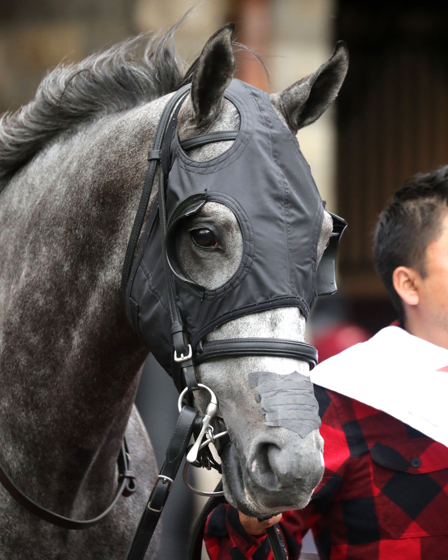 MY BOY PRINCE - The Valvoline Global Shakertown G2 - 04-04-26 - R10 - KEE - Paddock 01 - Coady Media - Kurtis Coady Photography