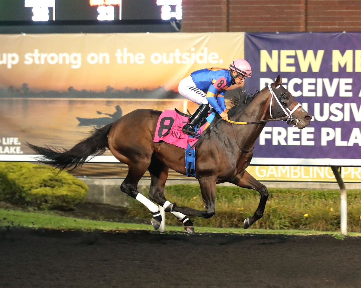 NEOEQUOS - The Presque Isle Mile - 09-18-26 - R08 - PID - Finish 01