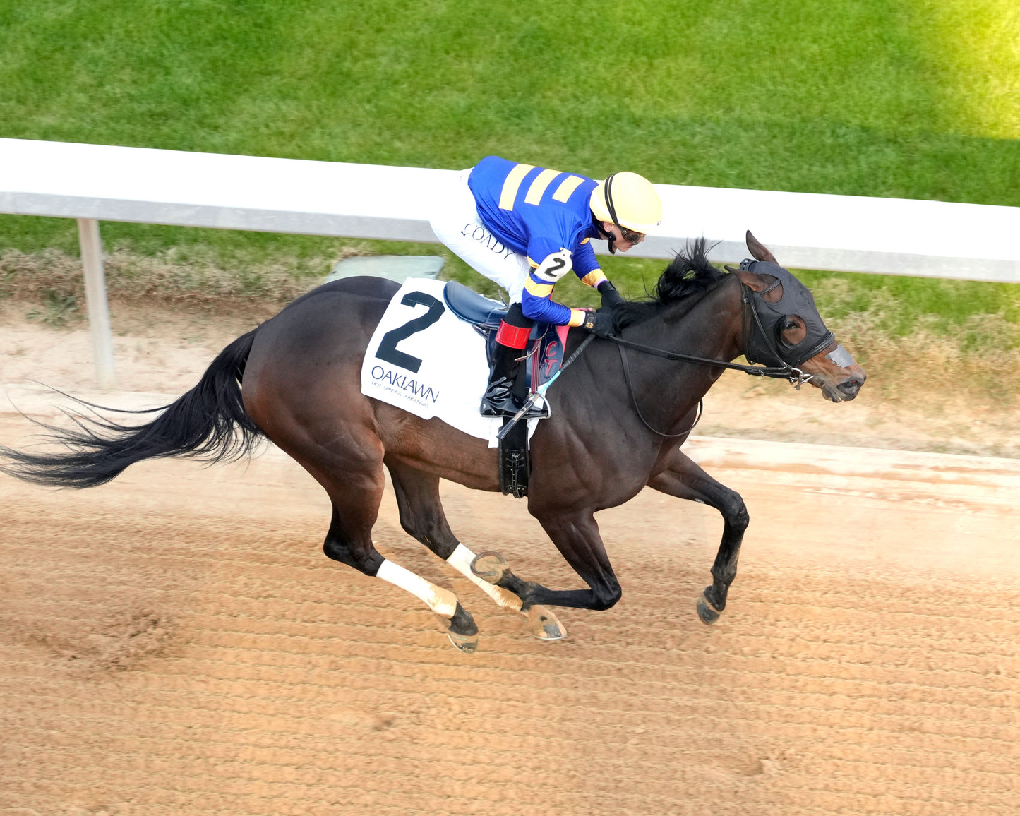 NERAZURRI - 022726 - Race 08 - The Trivista Overnight Stakes - OP - Aerial Finish 01 - Coady Media - Kurtis Coady Photography