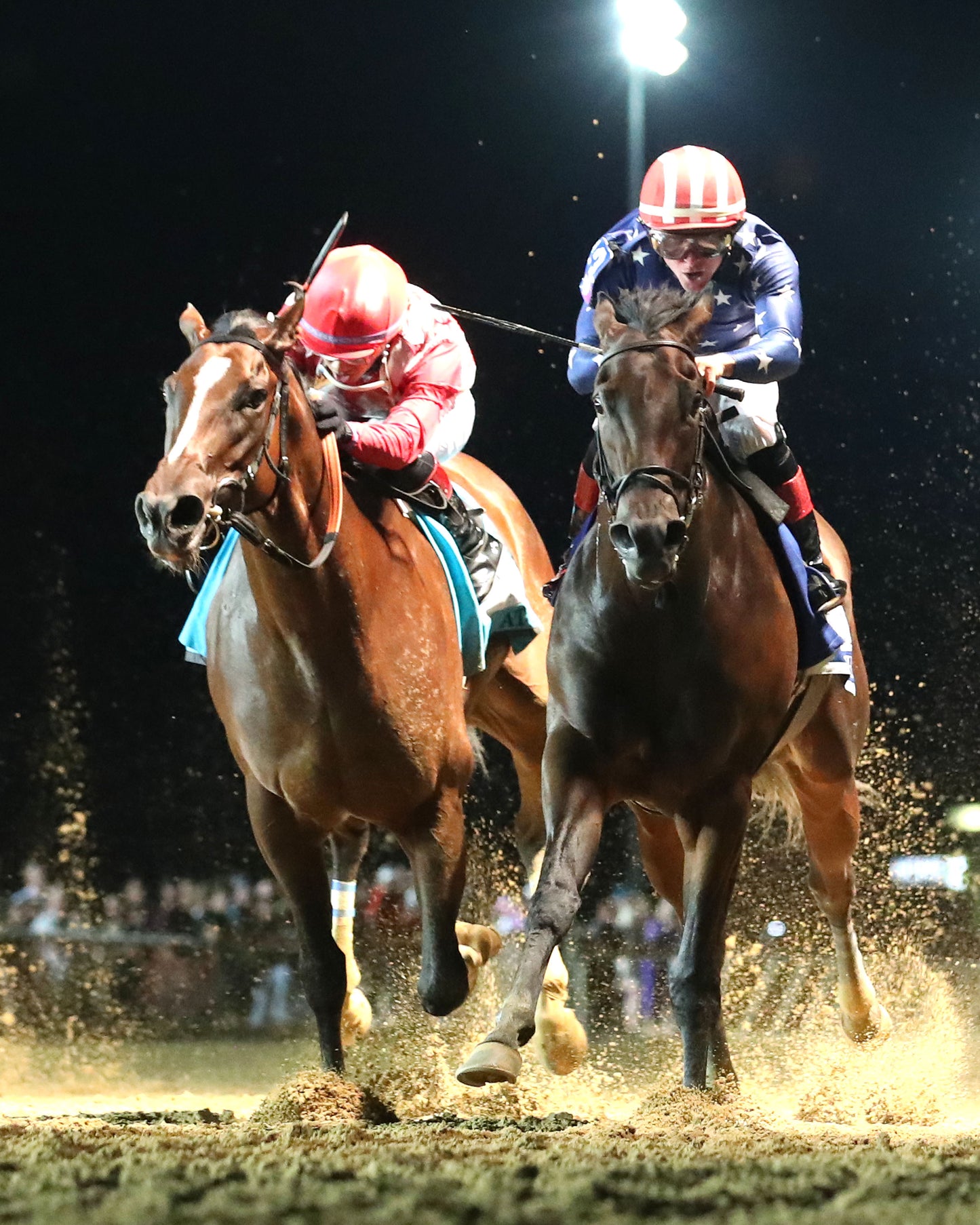 NICHE - The Charles Town Oaks G2 - 08-28-26 - R10 - CT - Under Rail 02