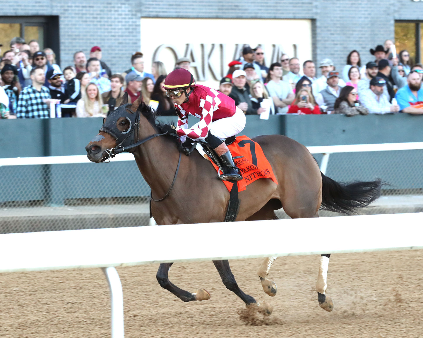 NITROGEN - The Bayakoa Stakes G3 - 02-07-26 - R09 - OP - Inside Finish 03 - Coady Media - Kurtis Coady Photography