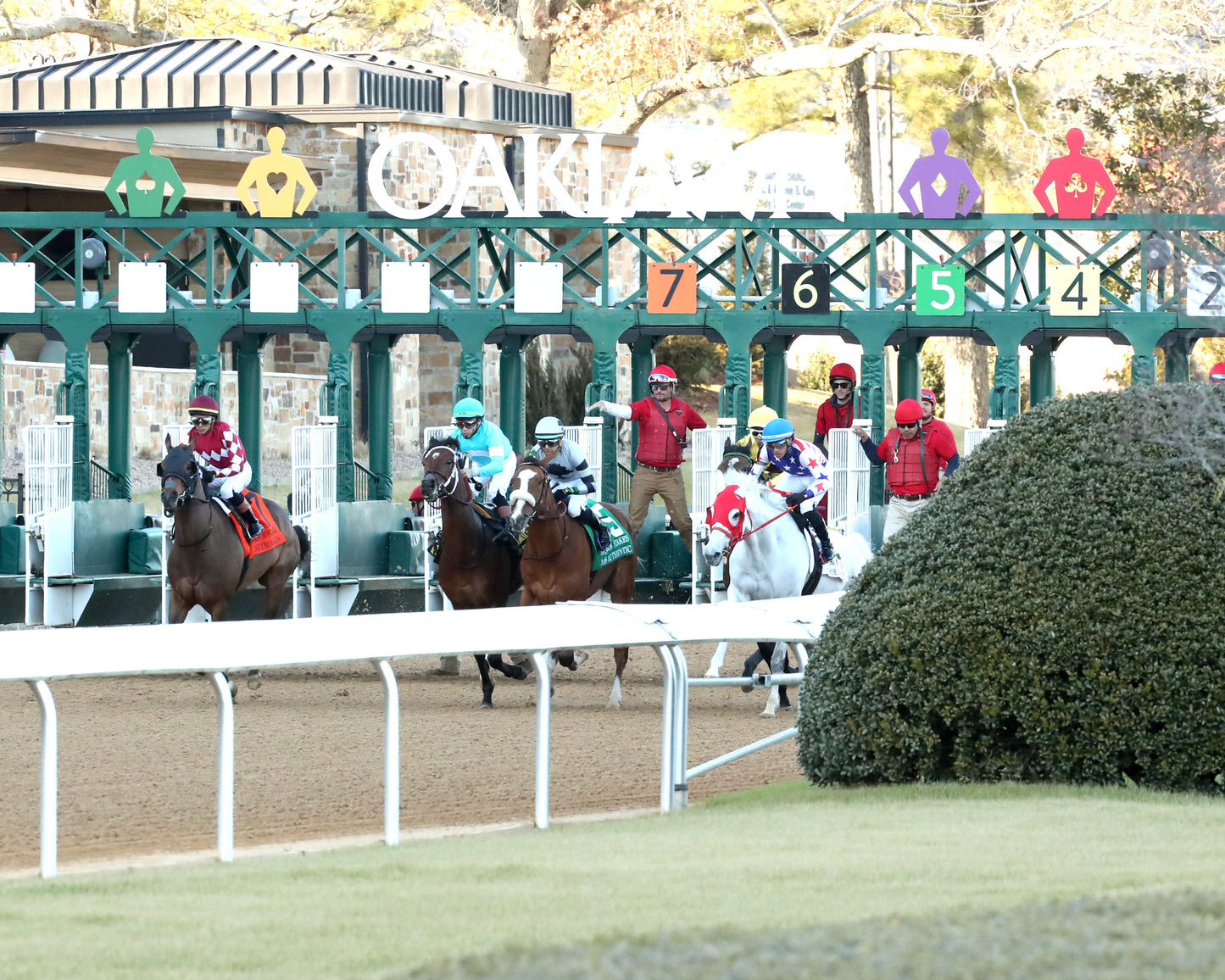 NITROGEN - The Bayakoa Stakes G3 - 02-07-26 - R09 - OP - Start 02 - Coady Media - Kurtis Coady Photography