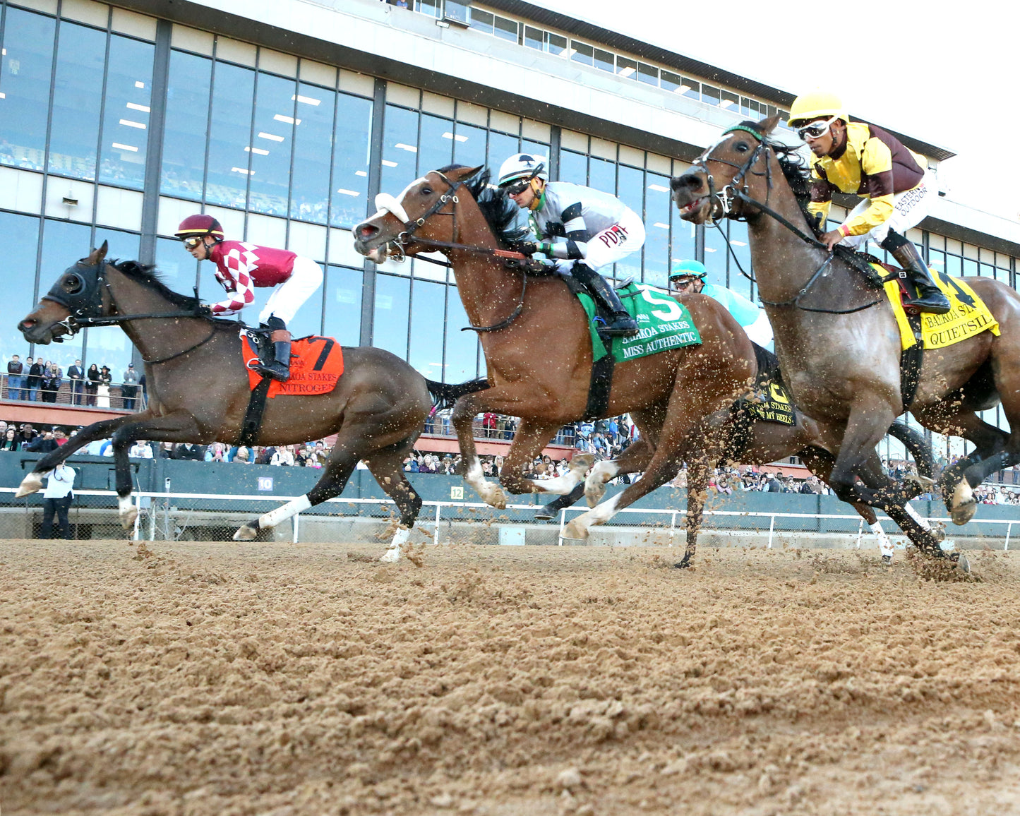 NITROGEN - The Bayakoa Stakes G3 - 02-07-26 - R09 - OP - Under Rail - First Pass 01 - Coady Media - Kurtis Coady Photography