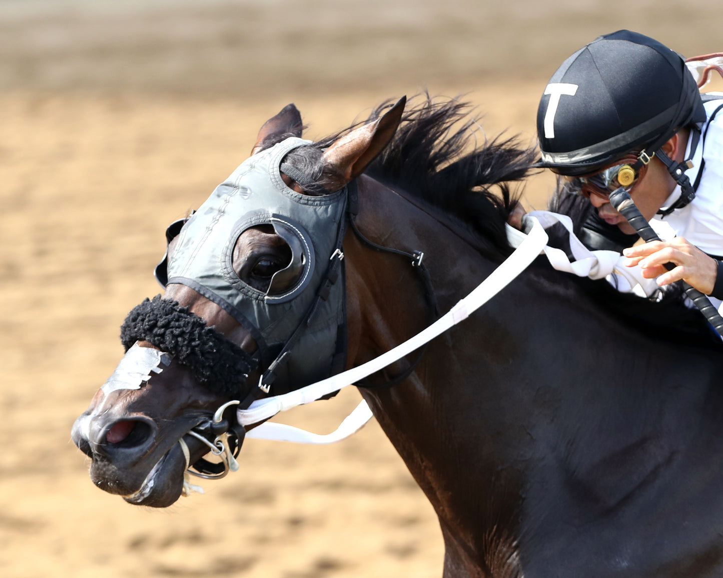 NU WHATS' NEW - 062826 - Race 10 - CD - Inside Finish 06