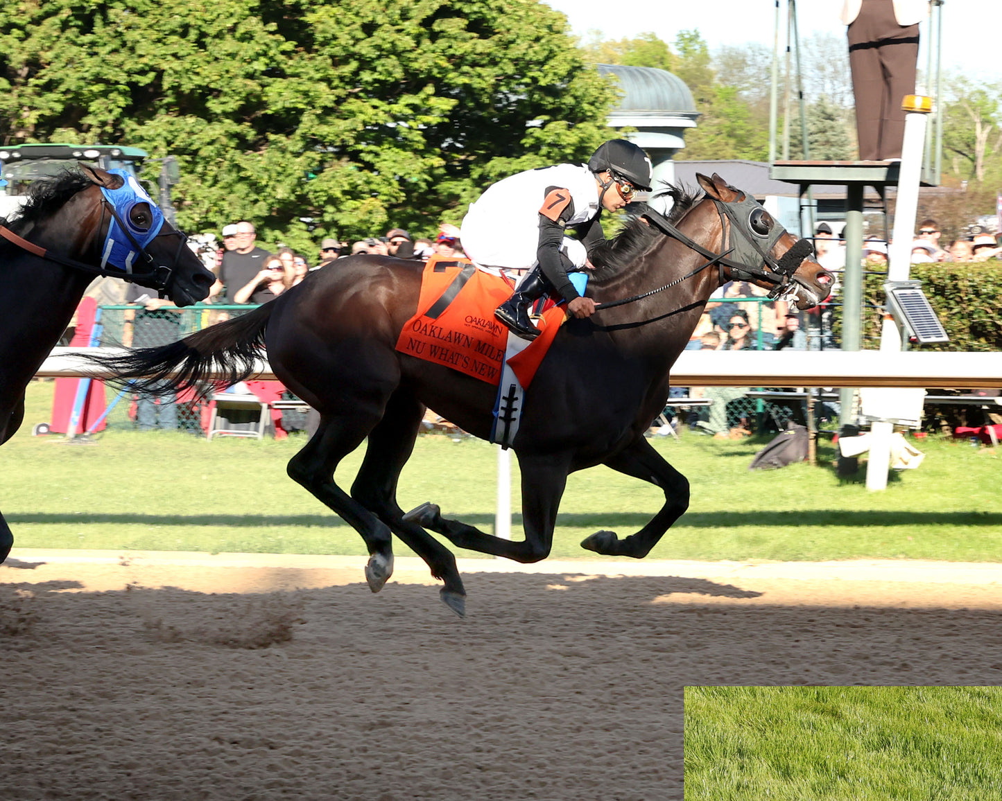 NU WHAT'S NEW - The Oaklawn Mile Stakes G3 - 03-28-26 - R11 - OP - Finish 01 - Coady Media - Kurtis Coady Photography