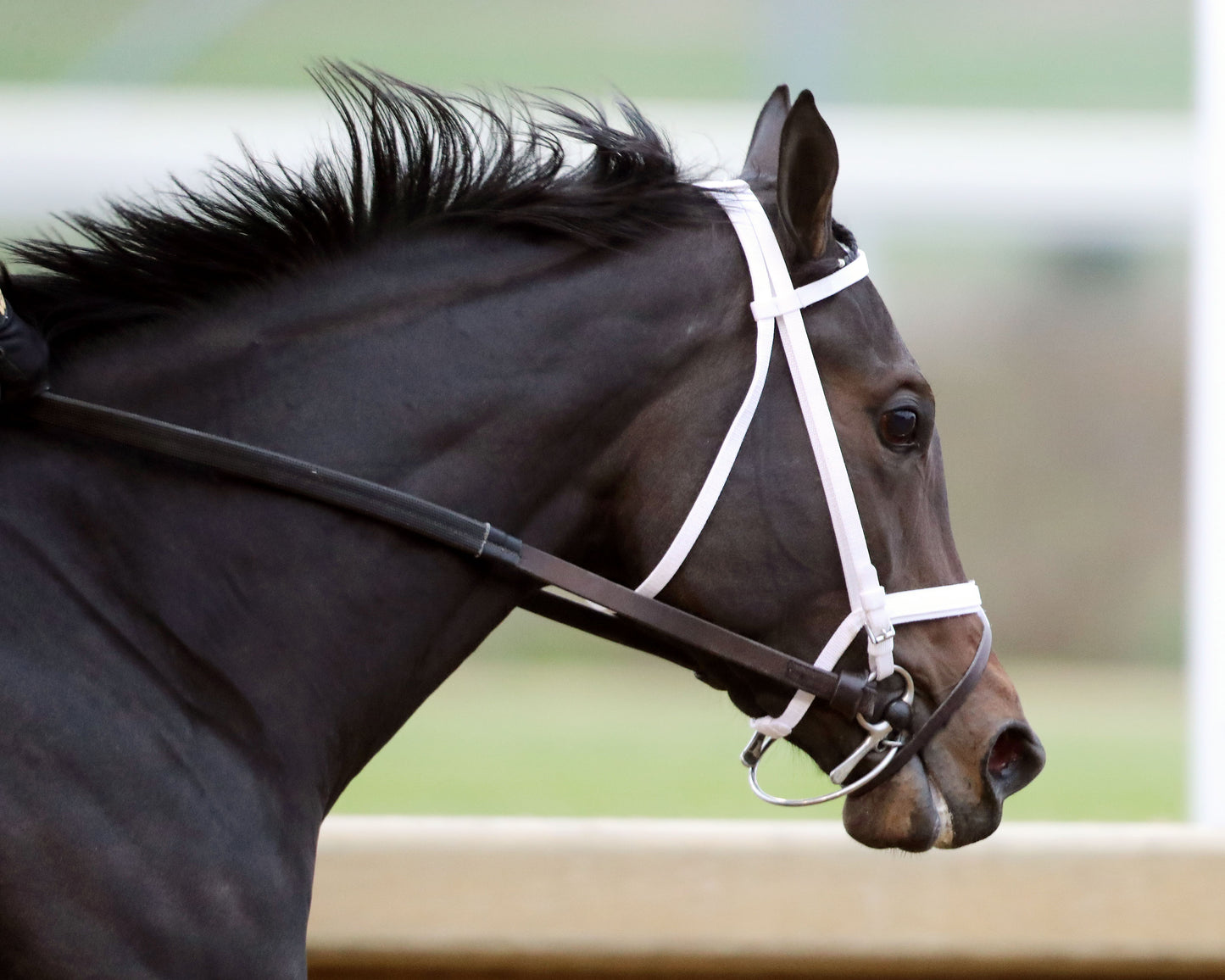 ON TIME GIRL - The Fern Creek - 11-29-25 - R08 - CD - Gallop Out 03