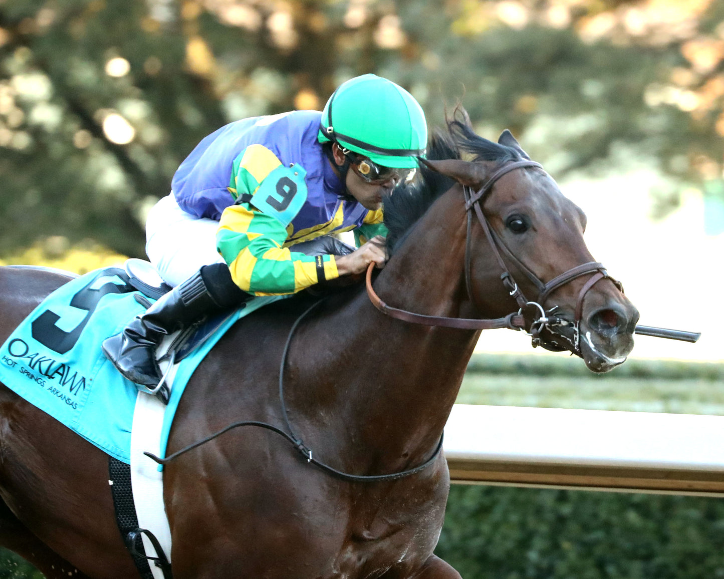 OSCAR'S HOPE - The Ozark Stakes - 02-16-26 - R09 - OP - Finish 05 - Coady Media - Kurtis Coady Photography