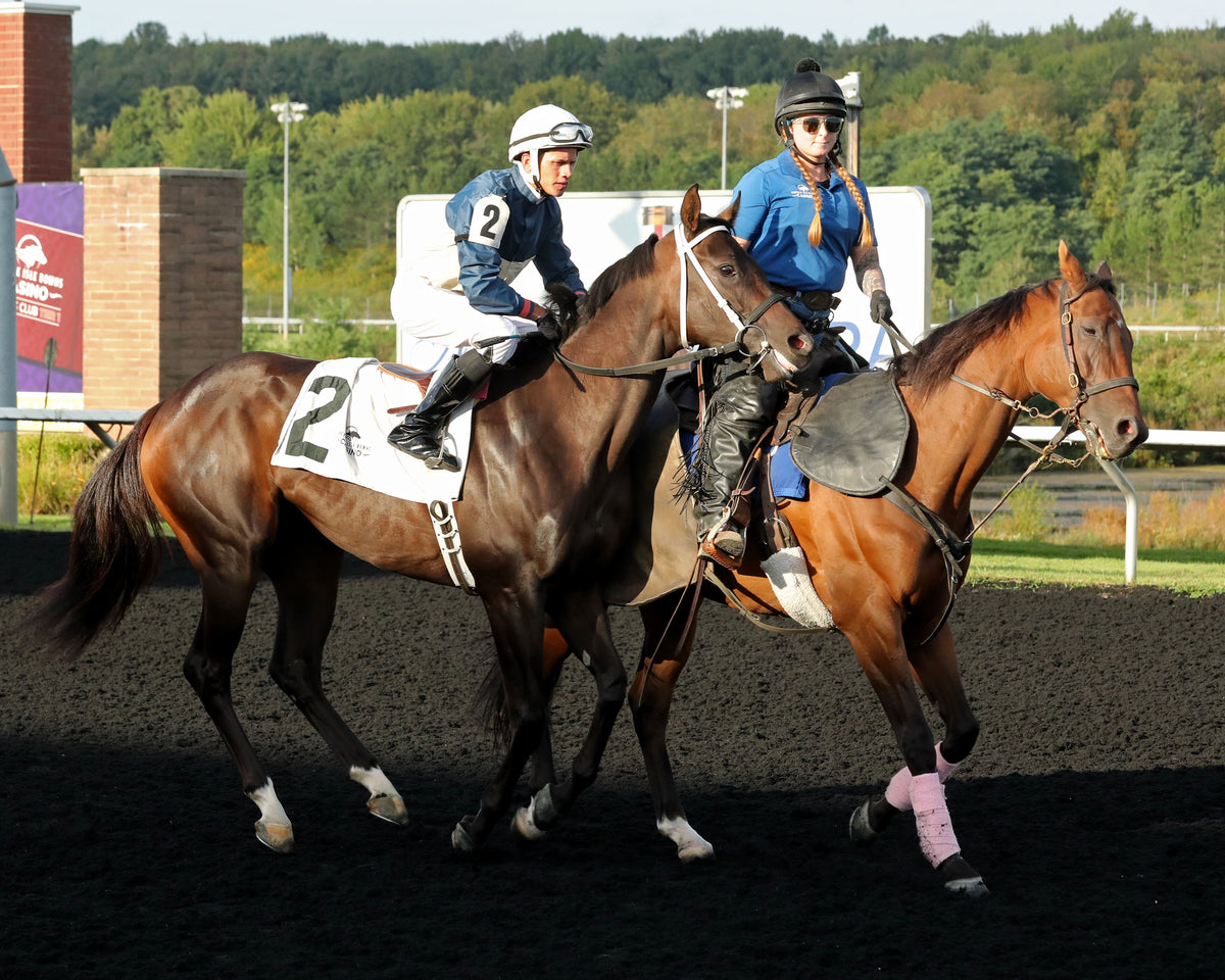 OUR SWEET BELLE - The Presque Isle Debutante Stakes - 15th Running - 09-18-26 - R03 - PID - Post Parade