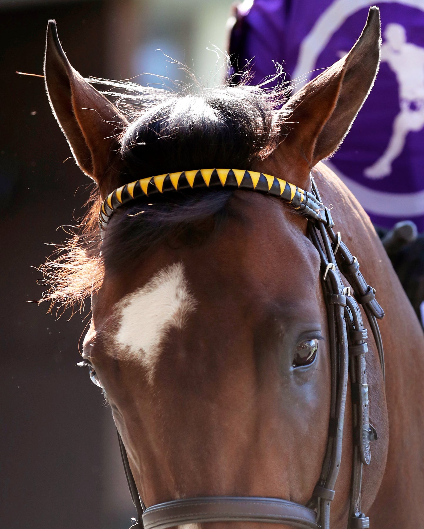 OUTFIELDER - The William Walker - 05-09-26 - R10 - CD - Paddock 02 - Coady Media - Kurtis Coady Photography