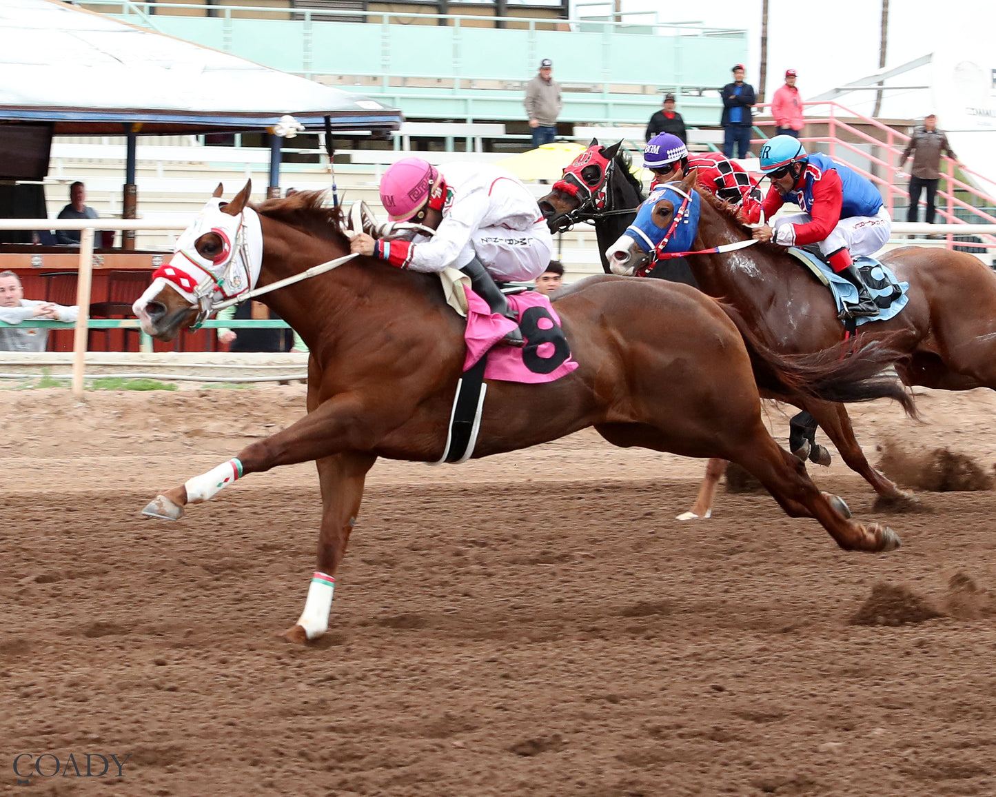 PARADISE PETE - AQRA-Turf Paradise Open Quarter Horse Derby - 12-31-25 - R02 - Turf Paradise - Inside Finish - Coady Media - Kurtis Coady Photography