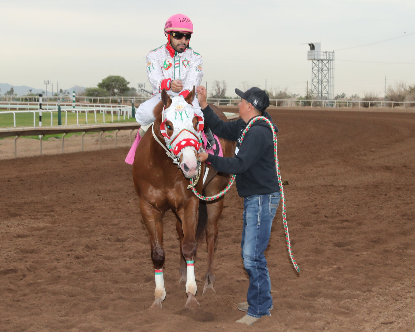 PARADISE PETE - AQRA-Turf Paradise Open Quarter Horse Derby - 12-31-25 - R02 - Turf Paradise - Return Shot - Coady Media - Kurtis Coady Photography