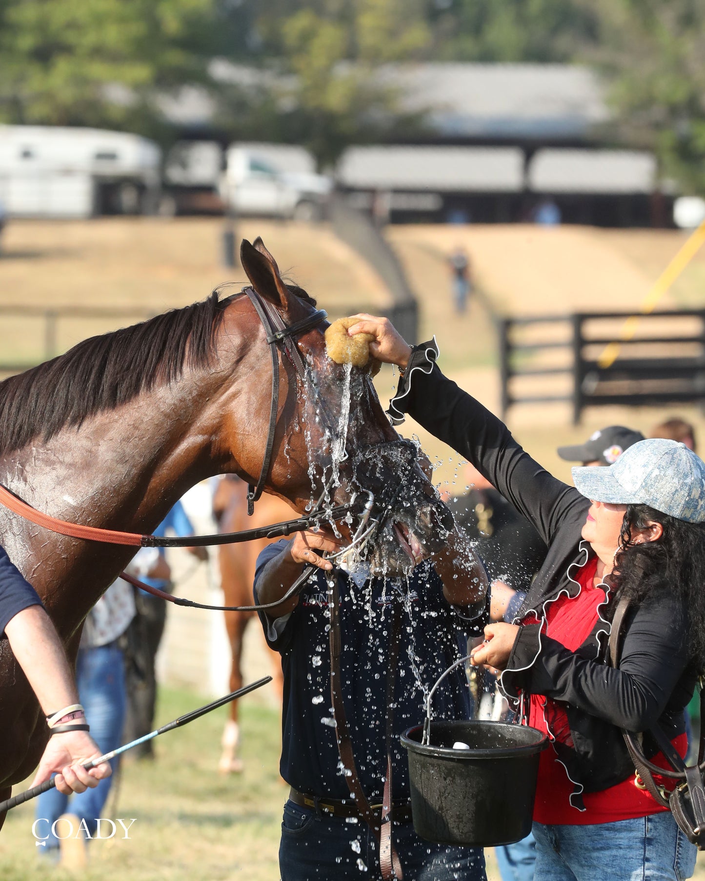 PHAROAH'S WINE - The Mint One Dreamer - 09-04-25 - R09 - KD - Come Back 04 - Coady Media - Kurtis Coady Photography