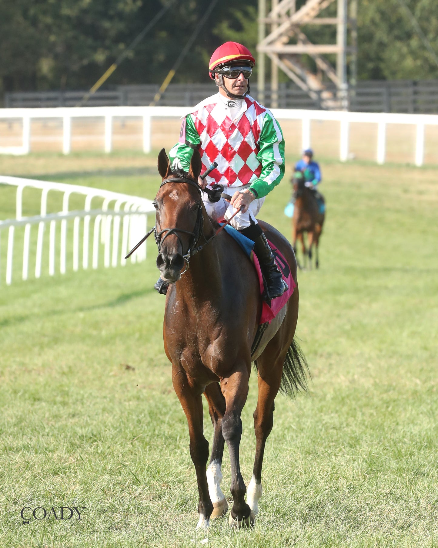 PHAROAH'S WINE - The Mint One Dreamer - 09-04-25 - R09 - KD - Come Back 06 - Coady Media - Kurtis Coady Photography