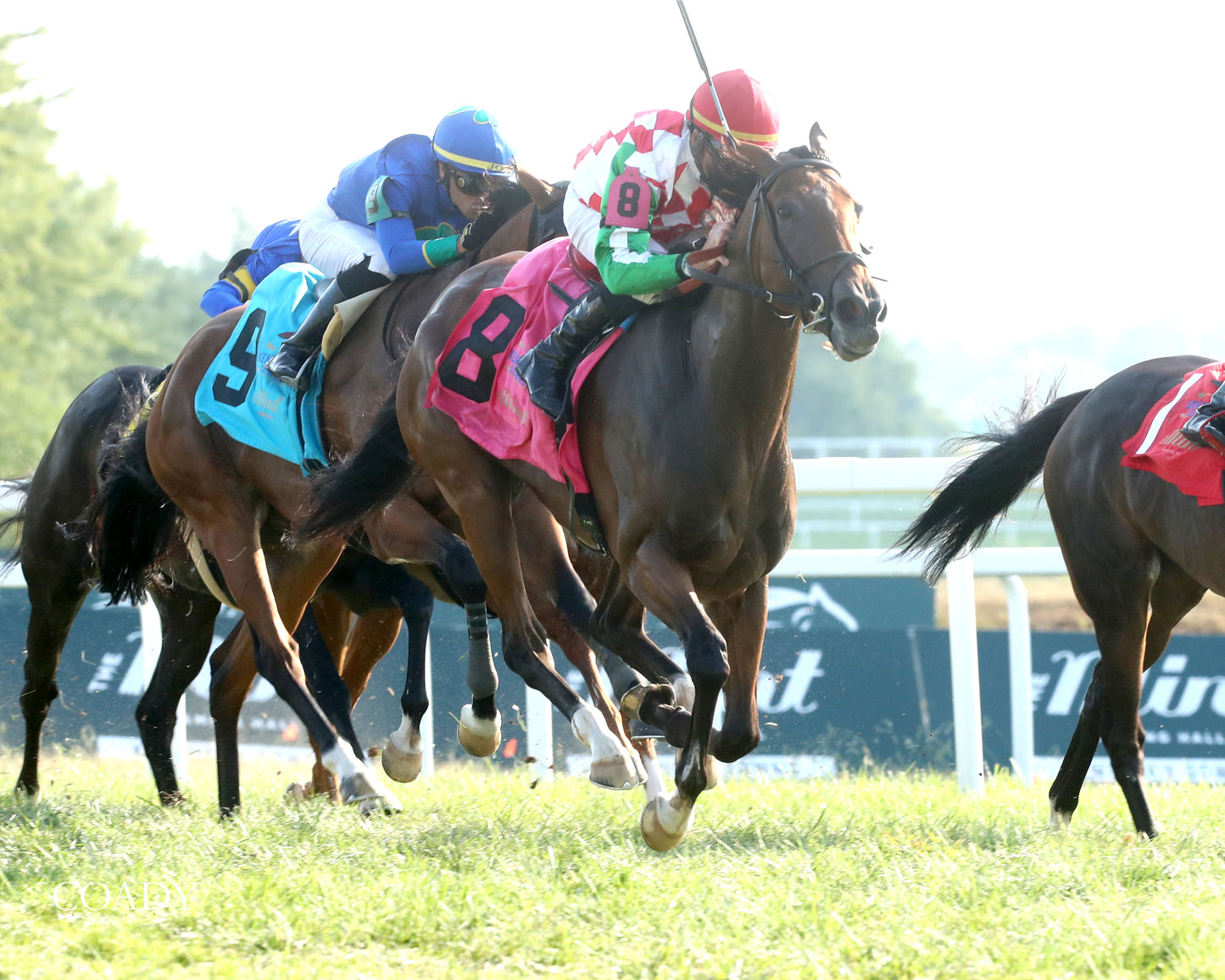 PHAROAH'S WINE - The Mint One Dreamer - 09-04-25 - R09 - KD - Finish 02 - Coady Media - Kurtis Coady Photography