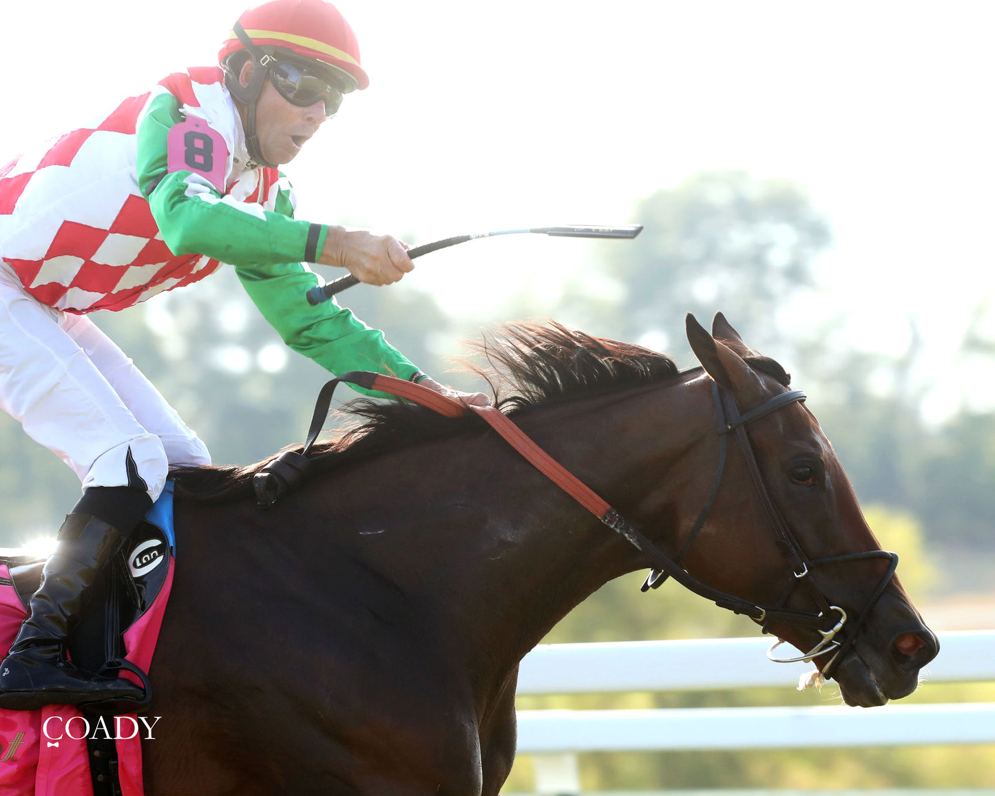 PHAROAH'S WINE - The Mint One Dreamer - 09-04-25 - R09 - KD - Gallop Out 01 - Coady Media - Kurtis Coady Photography