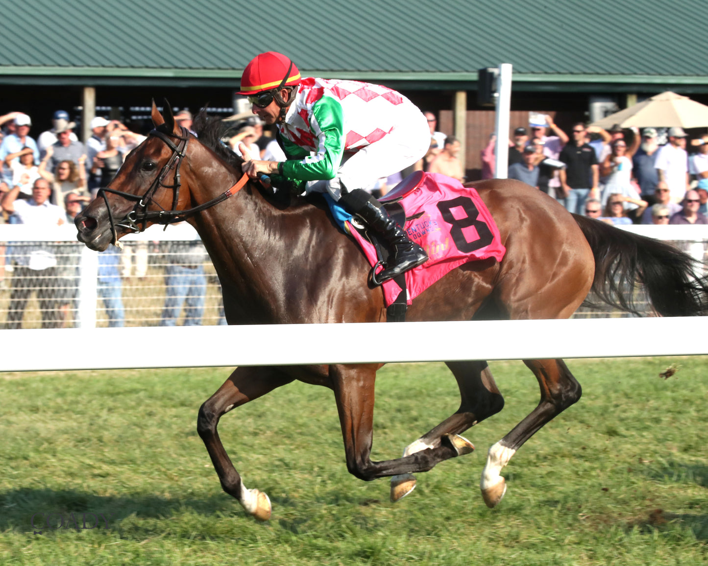 PHAROAH'S WINE - The Mint One Dreamer - 09-04-25 - R09 - KD - Inside Finish 01 - Coady Media - Kurtis Coady Photography