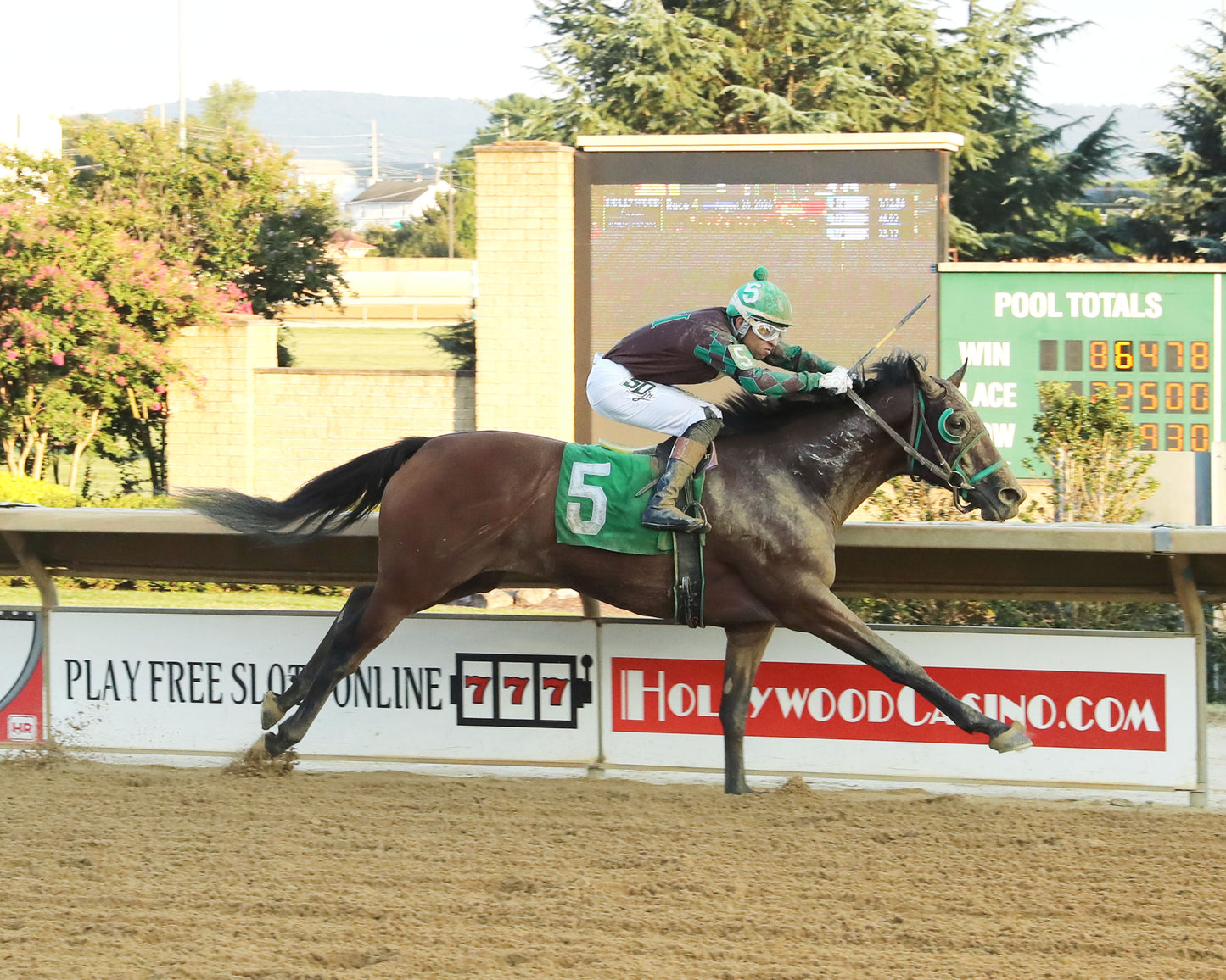 PLAY IT LOUD - Shenandoah Overnight Stakes - 08-28-26 - R04 - CT - Finish 02