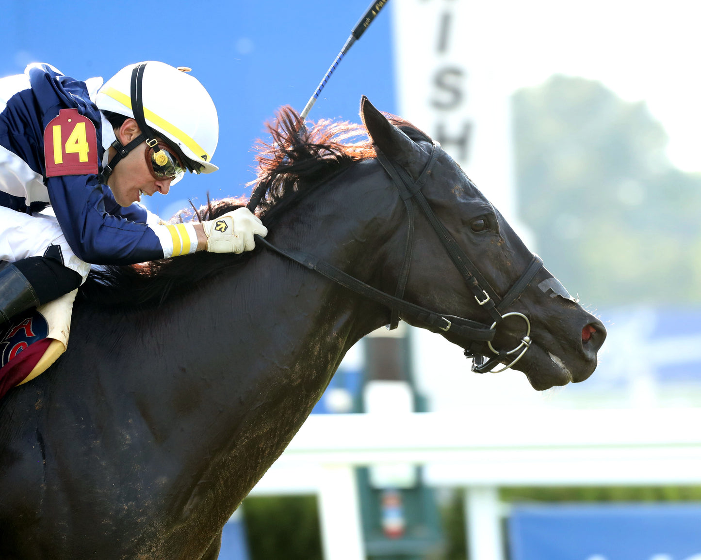 PLENSA - The Tapit Stakes - 08-30-26 - R09 - KD - Finish 03