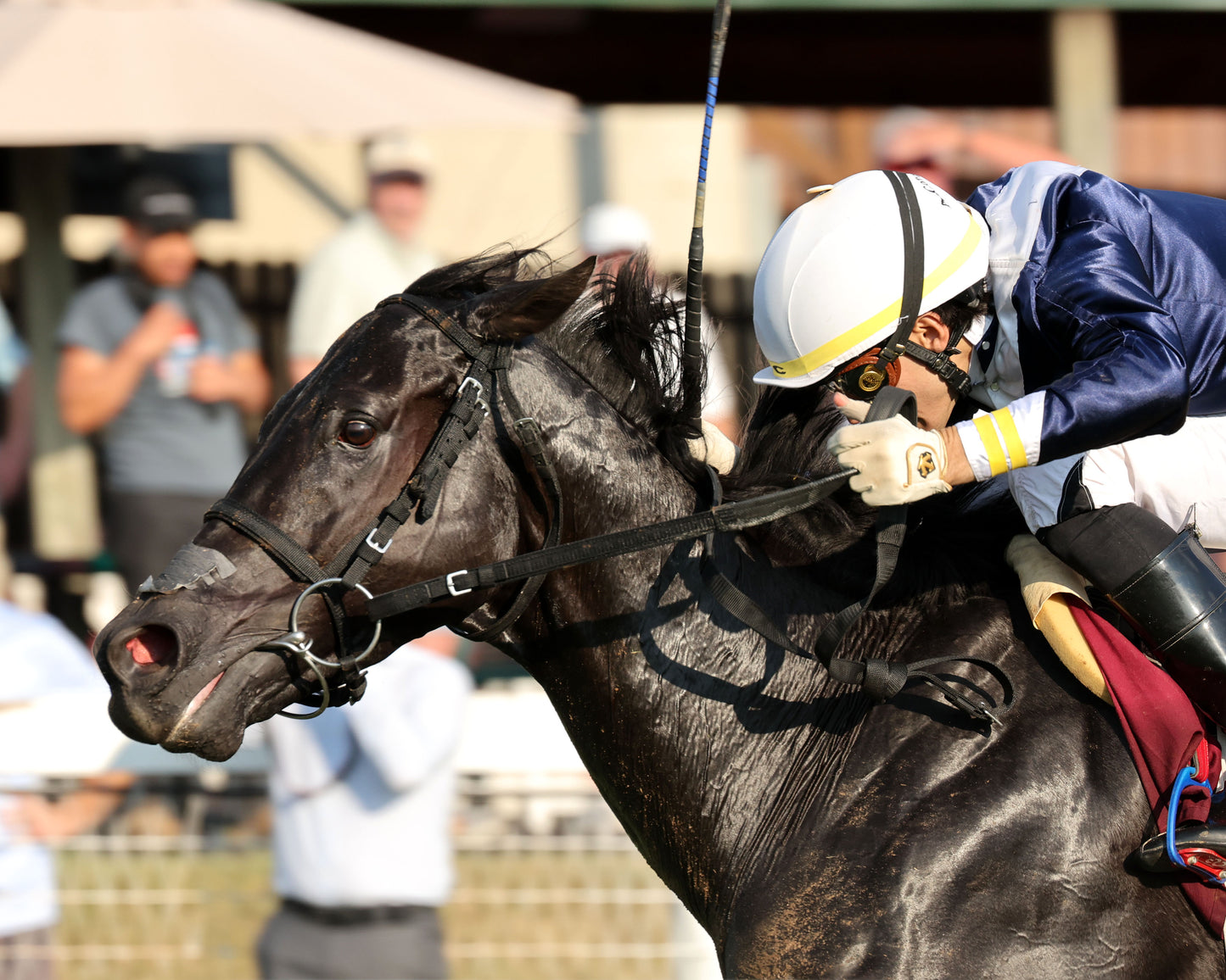 PLENSA - The Tapit Stakes - 08-30-26 - R09 - KD - Inside Finish 01