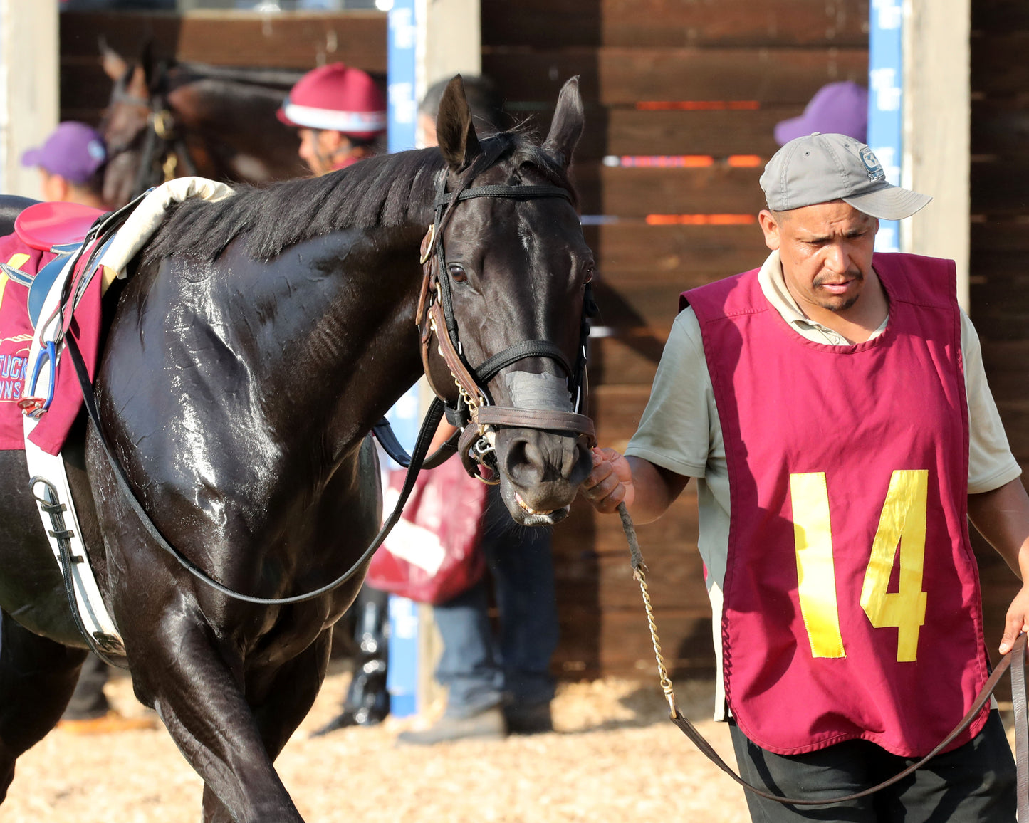 PLENSA - The Tapit Stakes - 08-30-26 - R09 - KD - Paddock 02