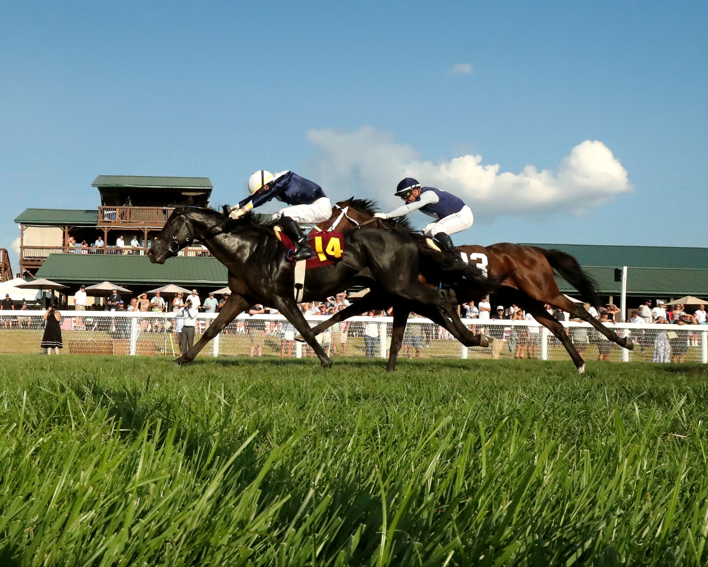 PLENSA - The Tapit Stakes - 08-30-26 - R09 - KD - Under Rail 01