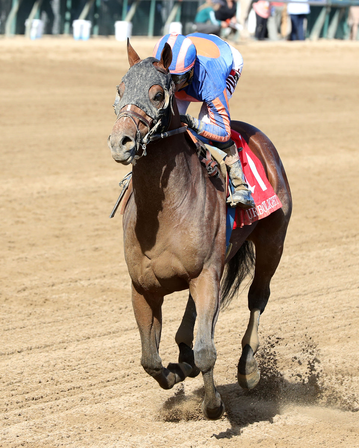 PLUTARCH - 092626 - Race 08 - CD - Inside Finish 02