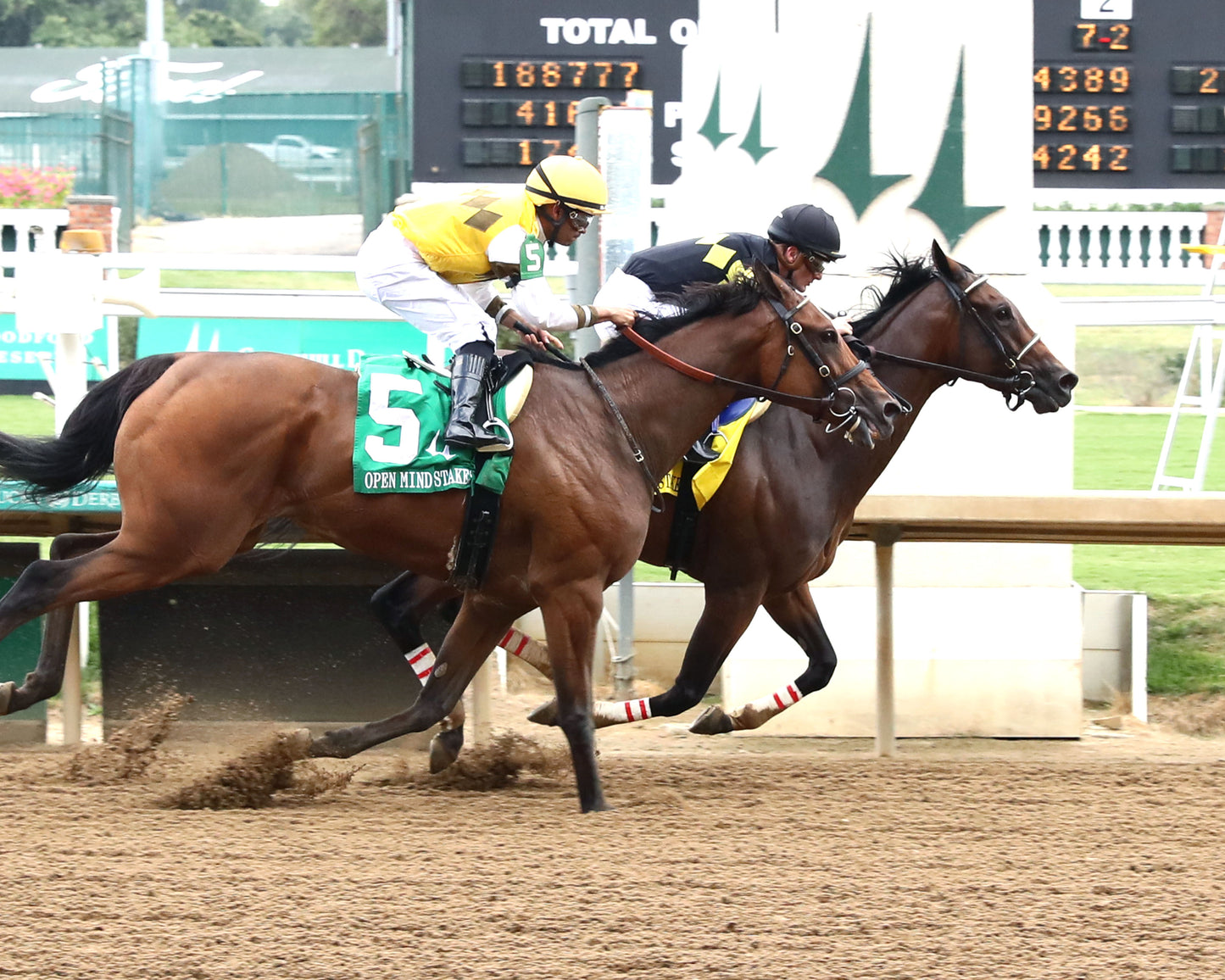POSITANO SUNSET - The Open Mind - 16th Running - 09-13-25 - R09 - CD - Finish 01 - Coady Media - Kurtis Coady Photography